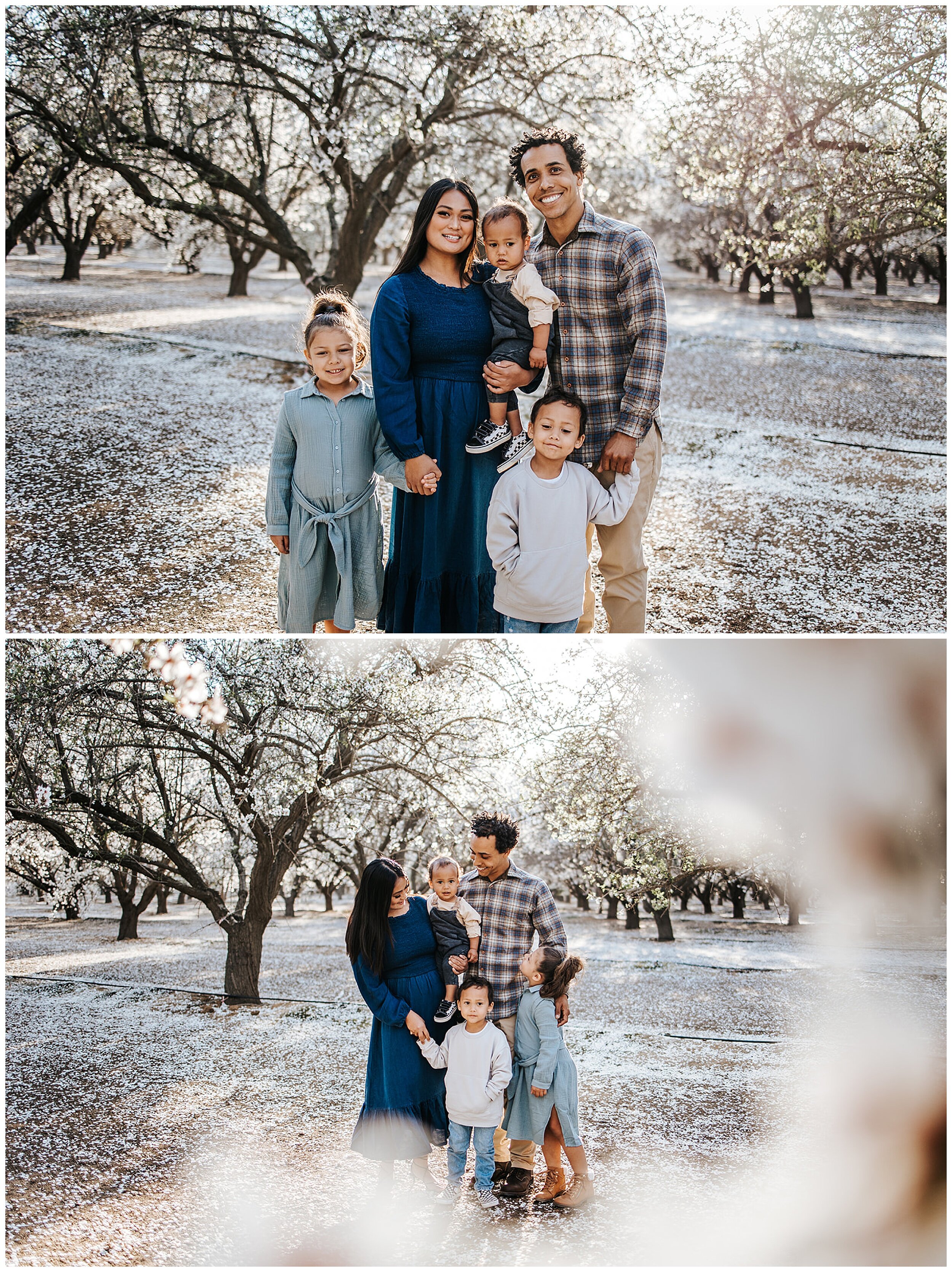 family photos in almond orchards