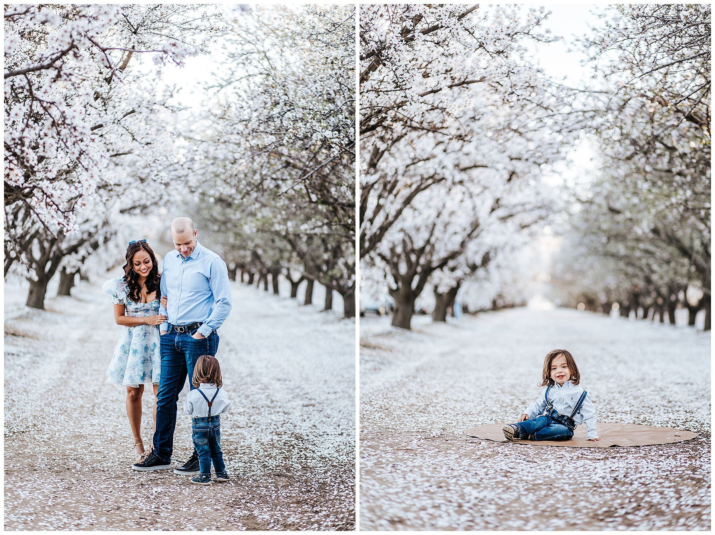 family photos in almond orchards