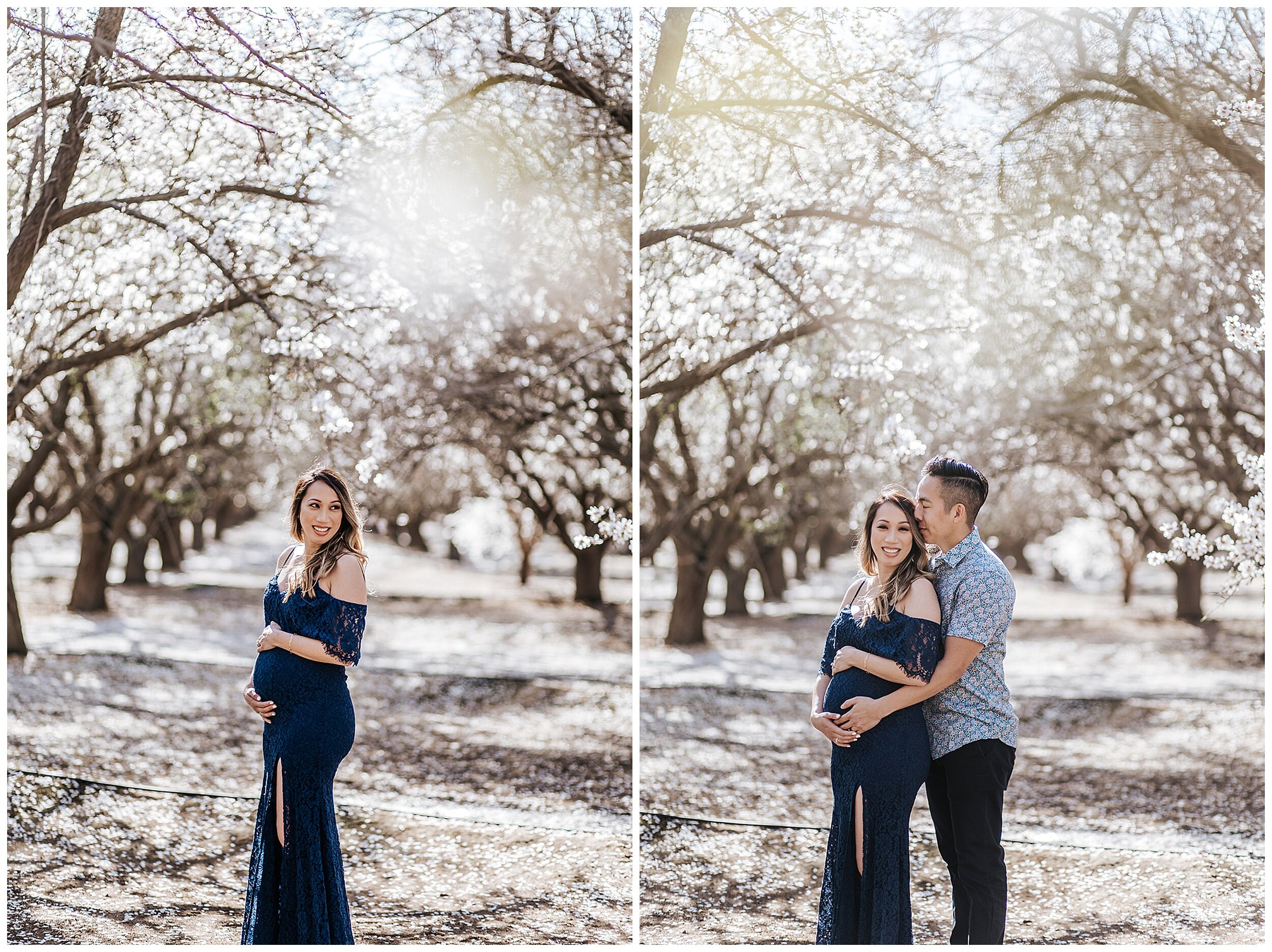 maternity photos in almond orchards