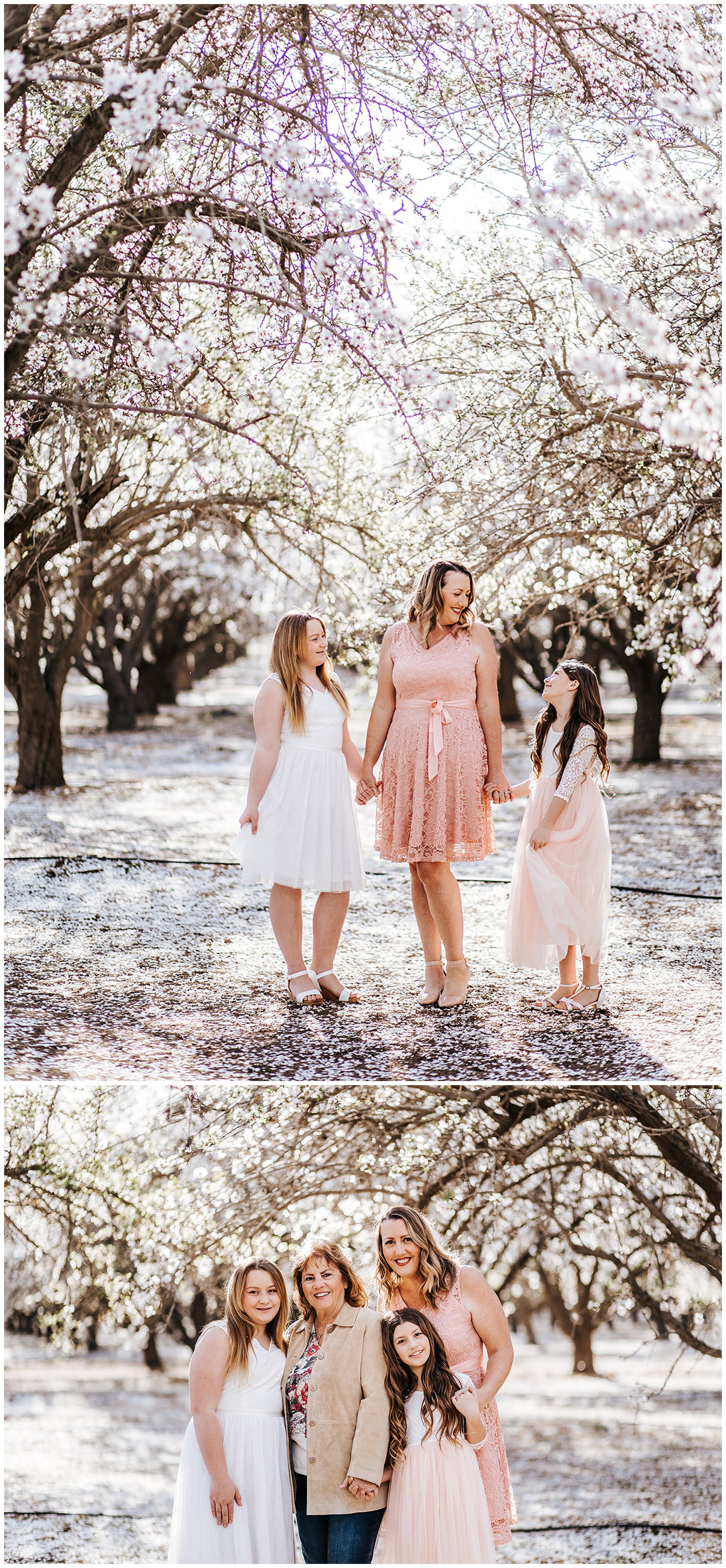 family photos in bakersfield almond orchards