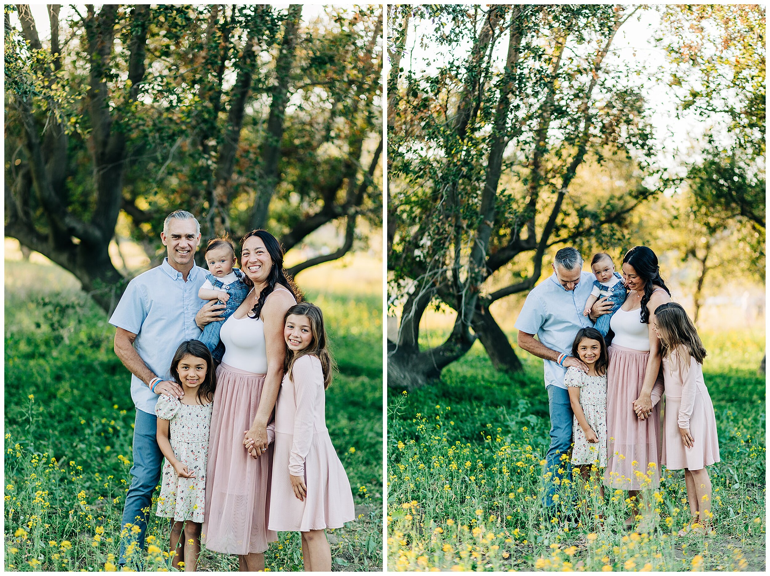 family photos under tree