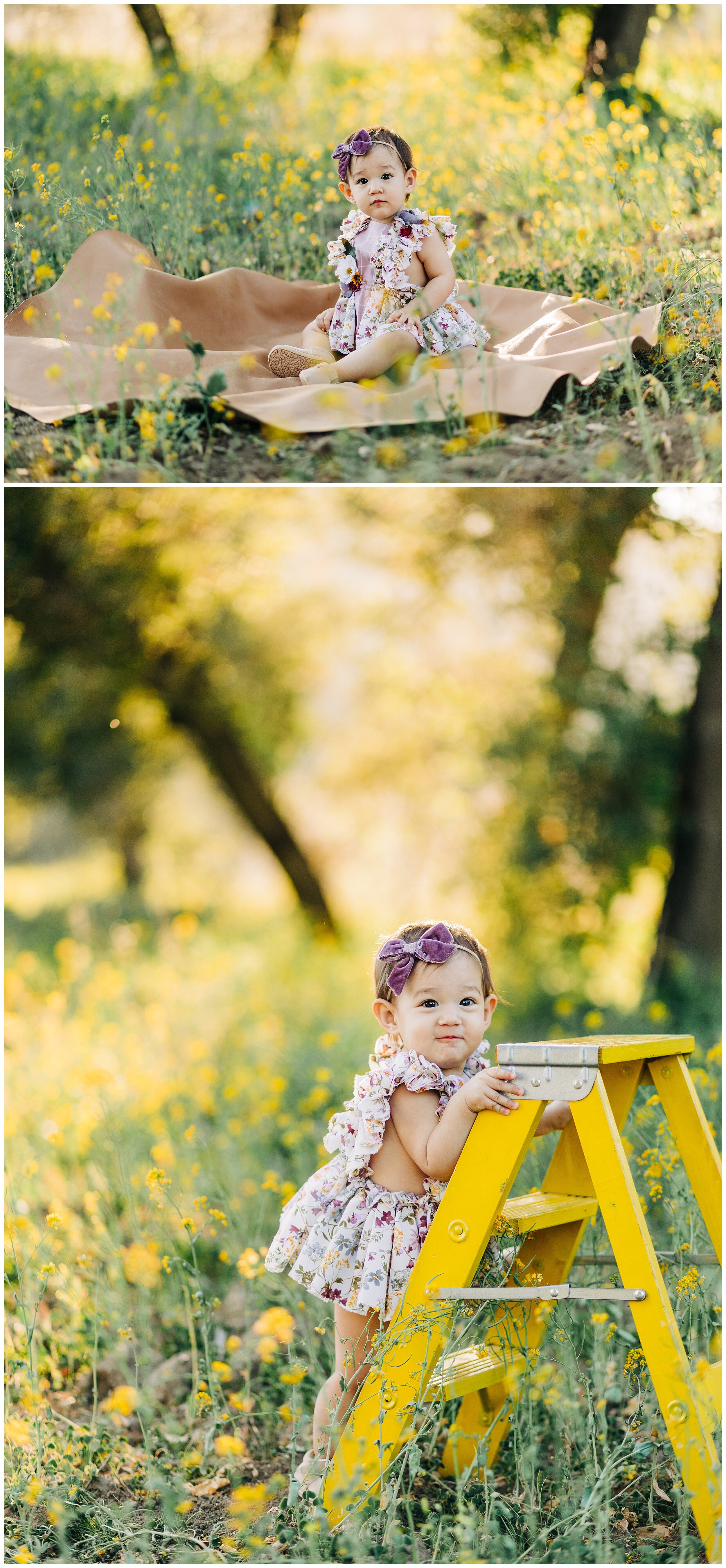 toddler on ladder for photos