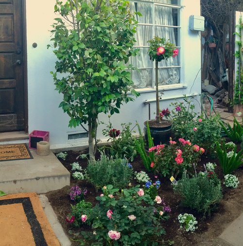 Yelp English Garden.jpg