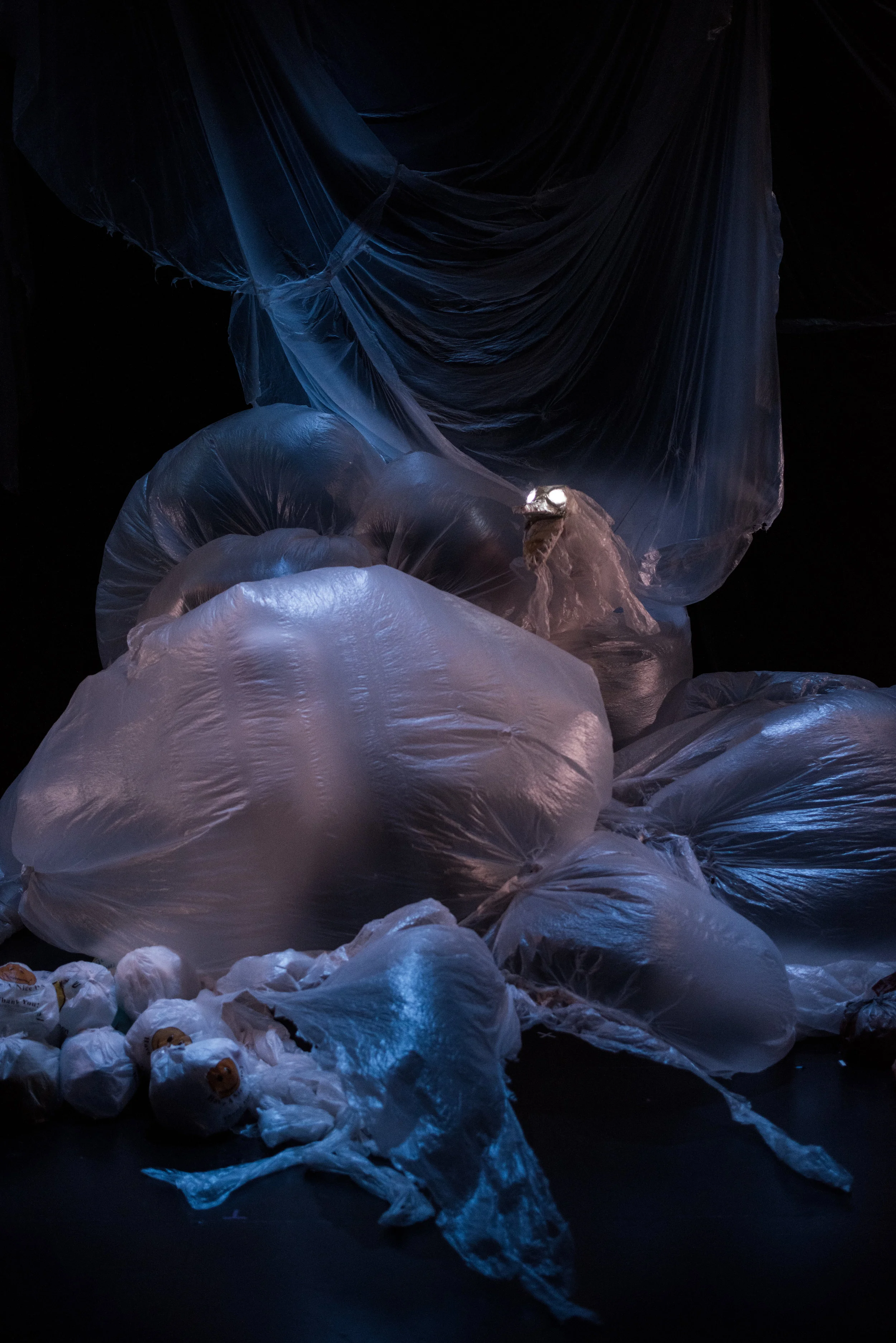 Puppet Lab 2018-23.jpg