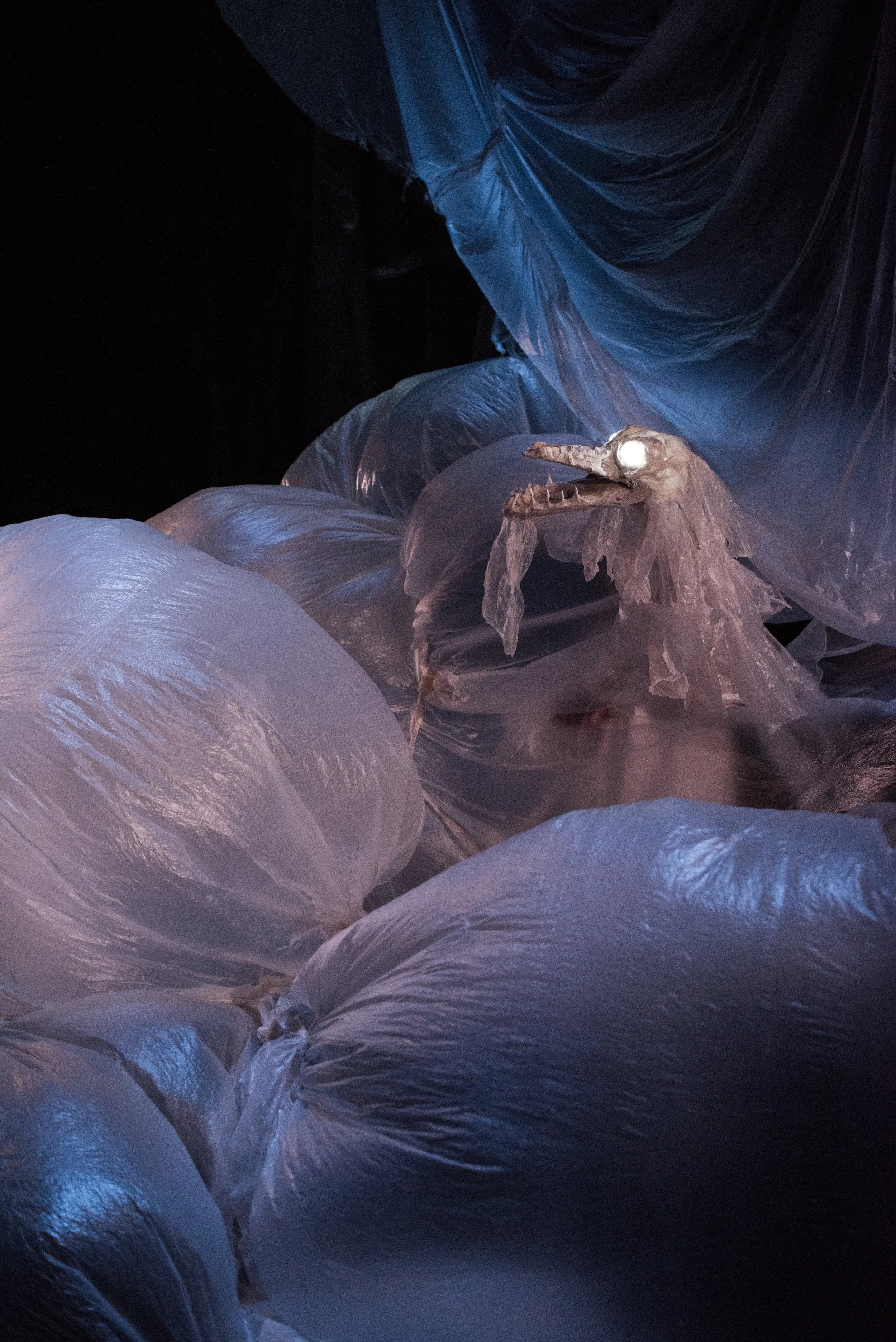 Puppet Lab 2018-25.jpg