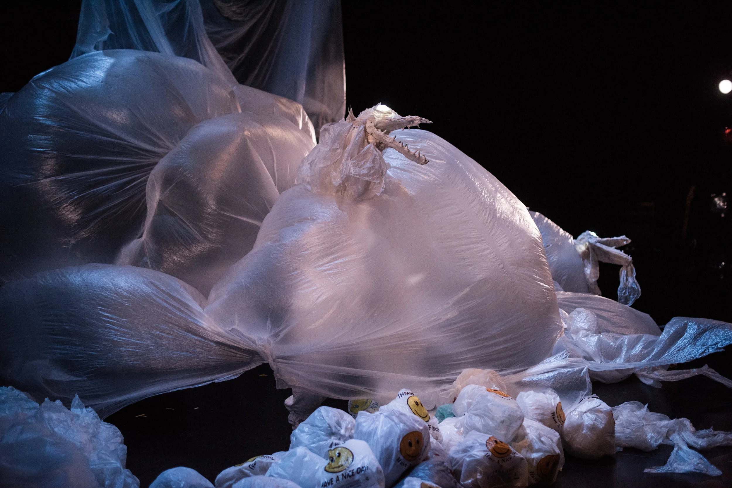 Puppet Lab 2018-28.jpg