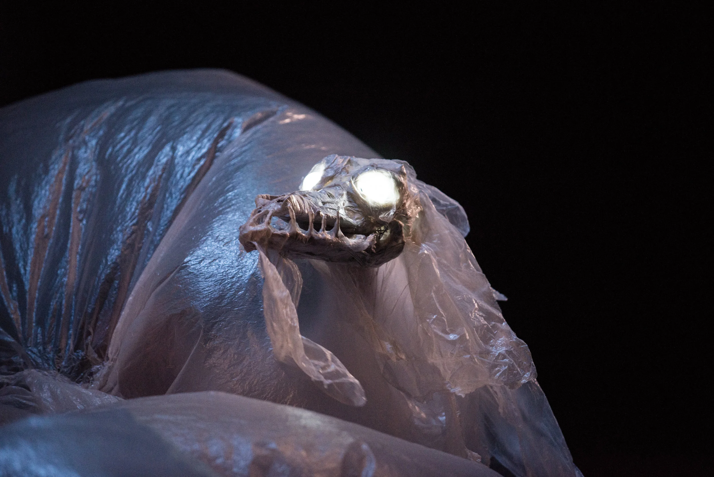 Puppet Lab 2018-29.jpg