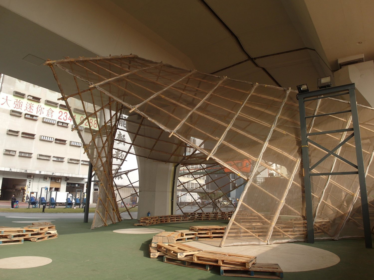 A Case for the Miracle Plan // Bamboo