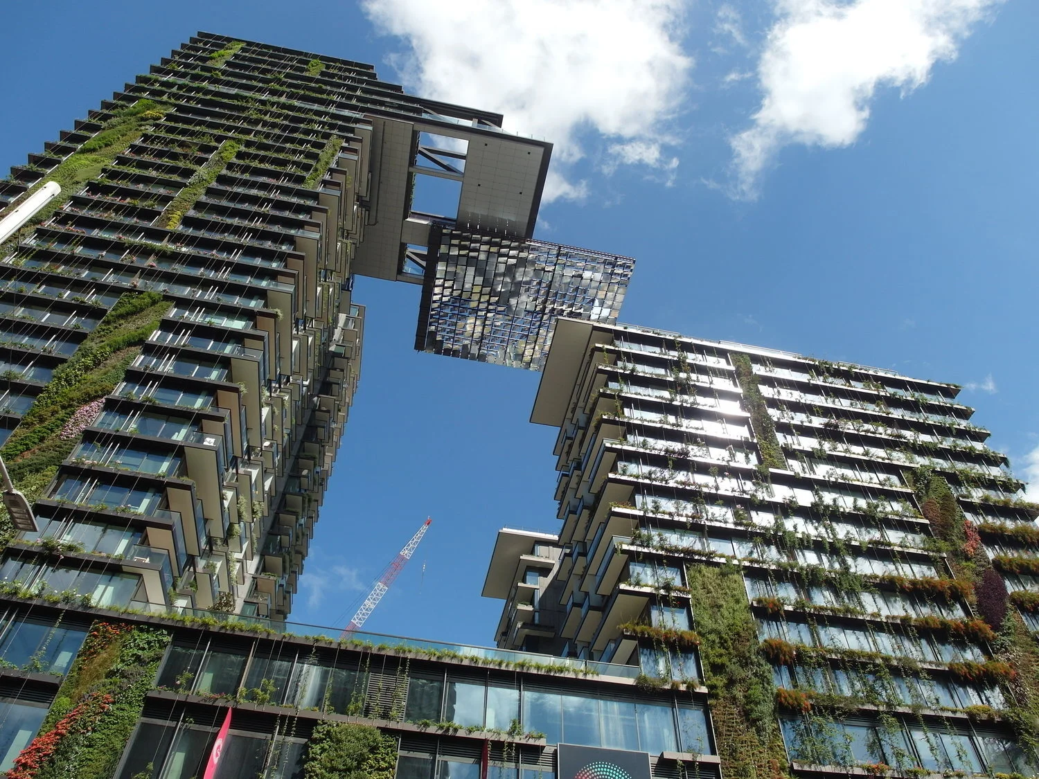 A Green Light for Central Park