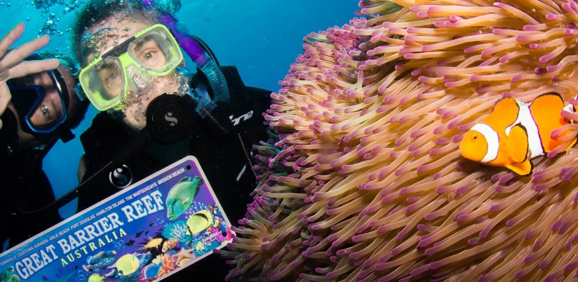 When should I do my advanced course