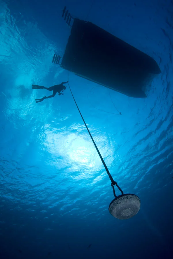 GoProCymn_2868.jpg