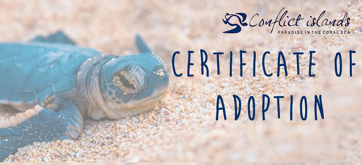 Adopting turtles during the IDC