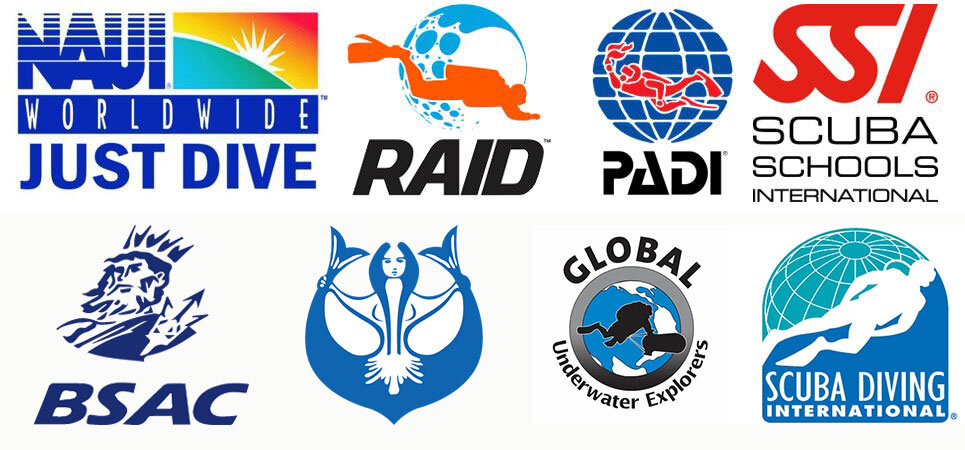 Which scuba diving training agency to choose — Dive ...