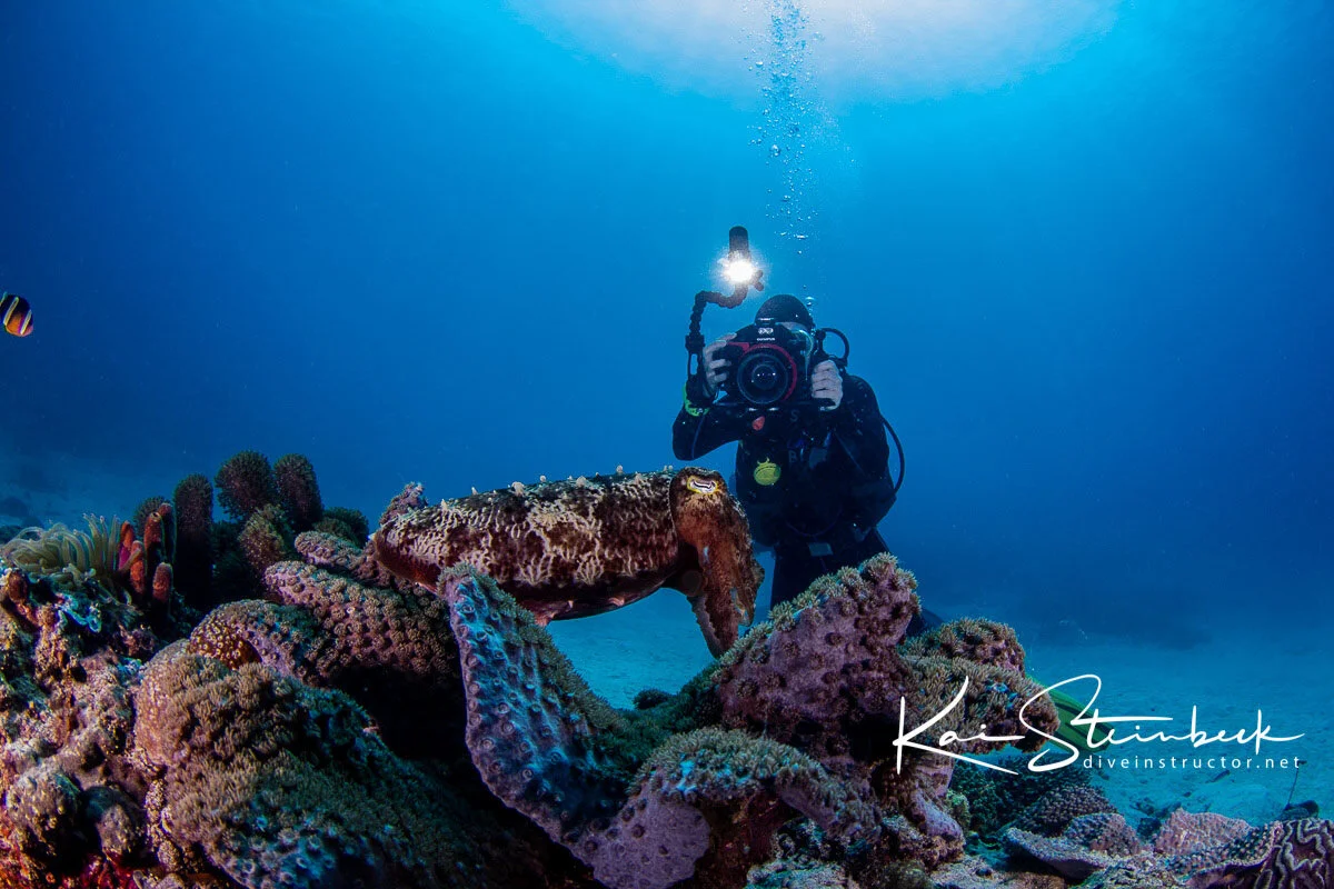 Underwater Photographers