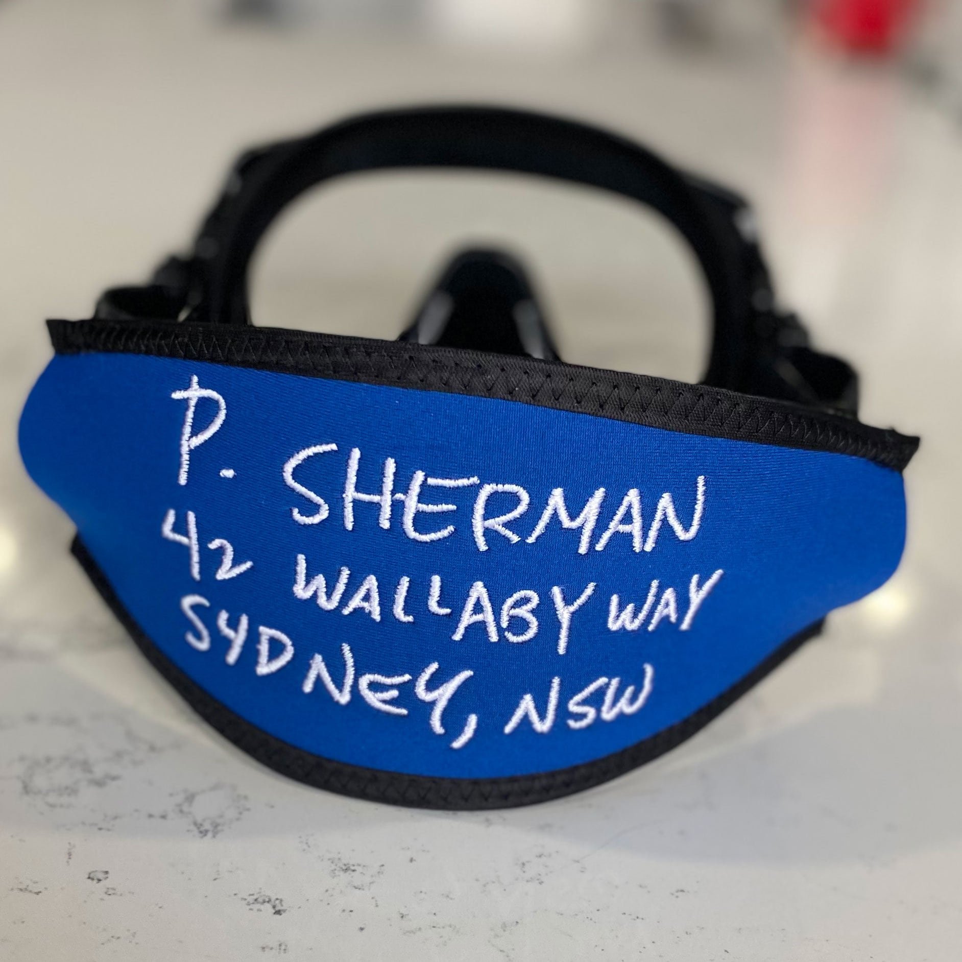 Nemo's address on your scuba mask strap — Dive Instructor Academy