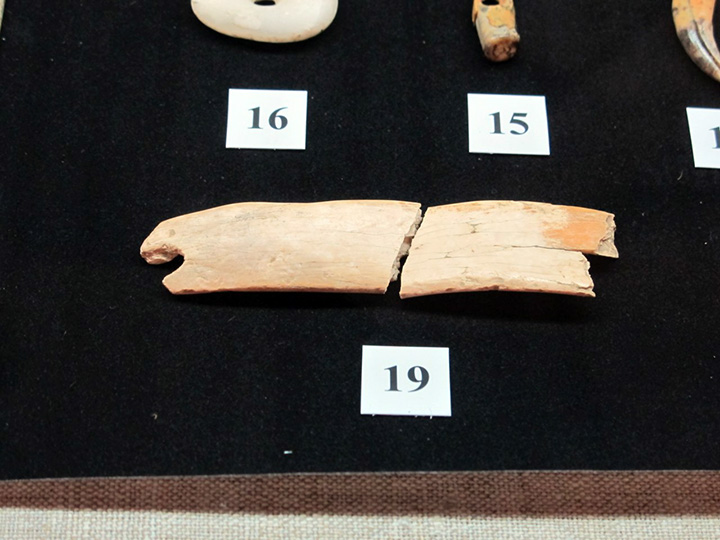 Ivory tiara found in the Denisova Cave in summer 2018.