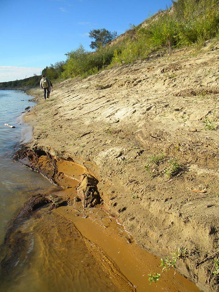 Ust'-Ishim bone. Irtysh river bank where the bone was found in 2008. Pictures: Antropogenez
