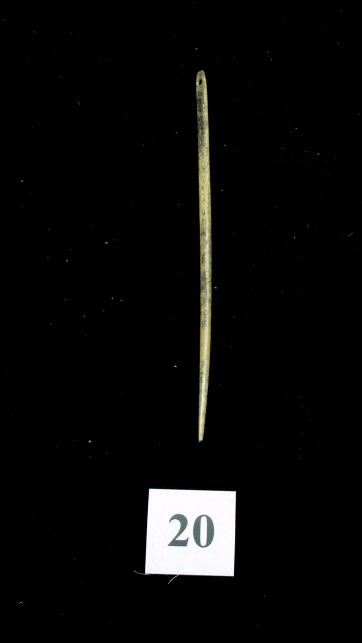 Bone needle found in the Denisova Cave in 2016.