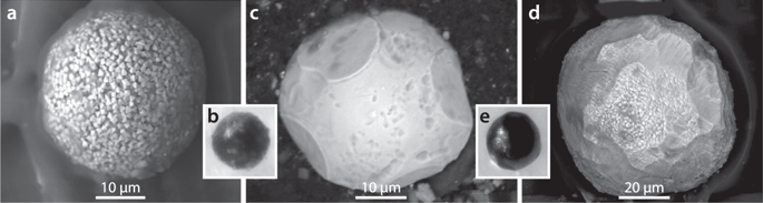 Group 4: Authigenic pyritic framboids and detrital magnetite. ( a ) SEM image of a framboid that contains Fe, sulphur, and oxygen and is composed of distinctive, unmelted cube-like crystals that formed slowly over time. ( b ) Photomicrograph of a framboid showing how difficult it is to distinguish these from YDB spherules (Fig. 5g ) and detrital grains ( e ) using reflected-light microscopy. ( c , d ) Sub-rounded detrital grains rich in TiO2 (average: ~36 wt.%) and FeO (average: 64 wt.%). ( e ) Photomicrograph of detrital grain showing its similarity to YDB spherules (Fig. 5g ) and framboids ( b ) emphasizing the need to use SEM-EDS analysis.