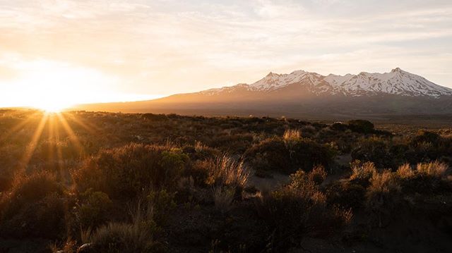 Mount Ruapehu looking so beautiful on a early Summer sunset. 🌄 -
-
-
#landscapephotography #landscape #mountains #mtruapehu #desertroadnz #nz #newzealand #sunset #purenewzealand #sonyalpha #ig_newzealand #sonya7iii #metservice #newzealandguide #newz