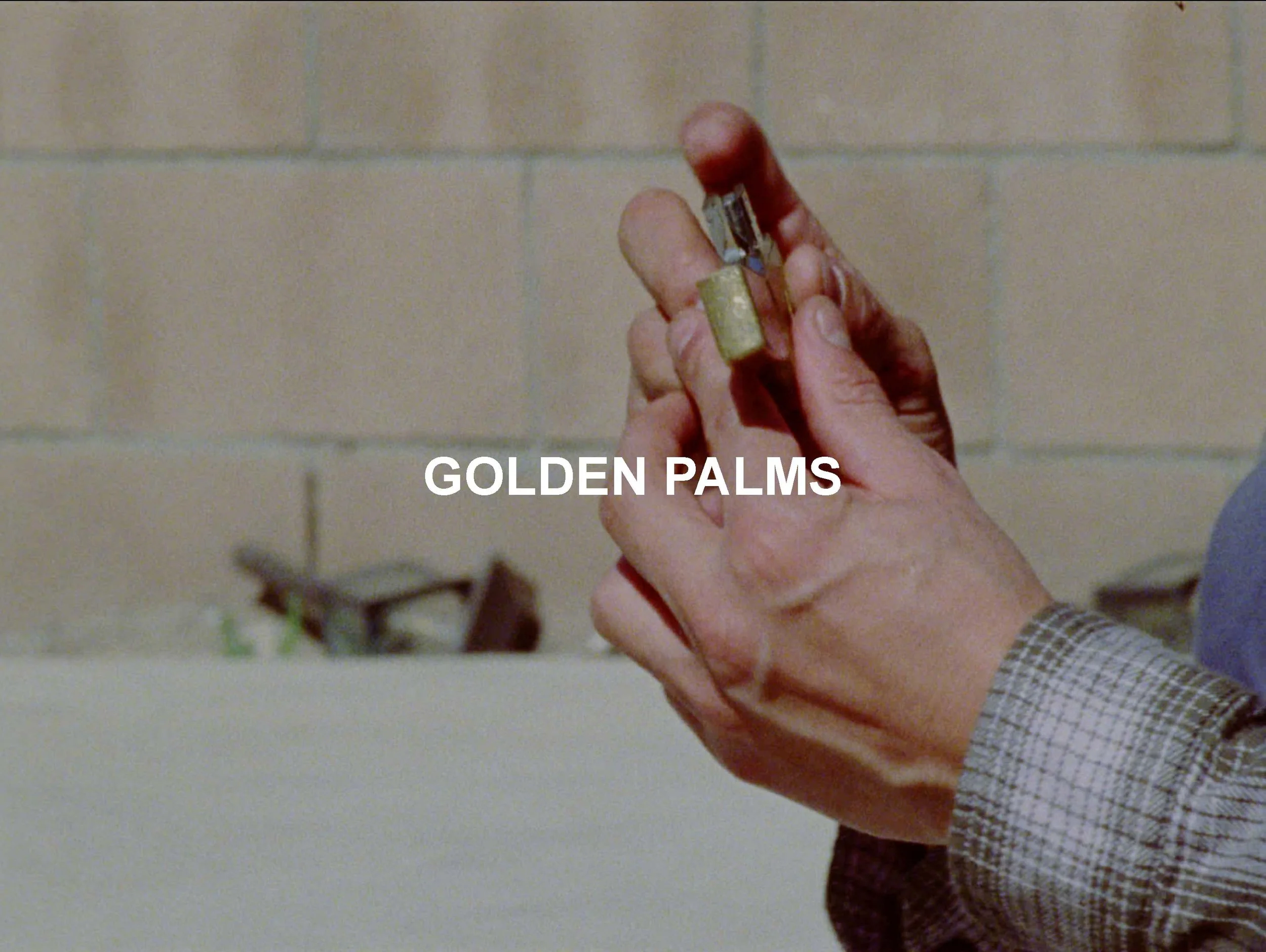 Writer, Director, Cinematographer, Editor