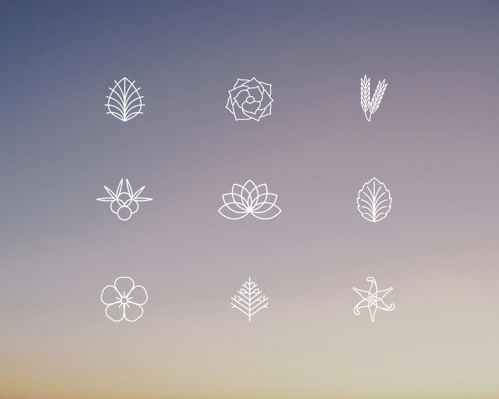 Icons.jpg