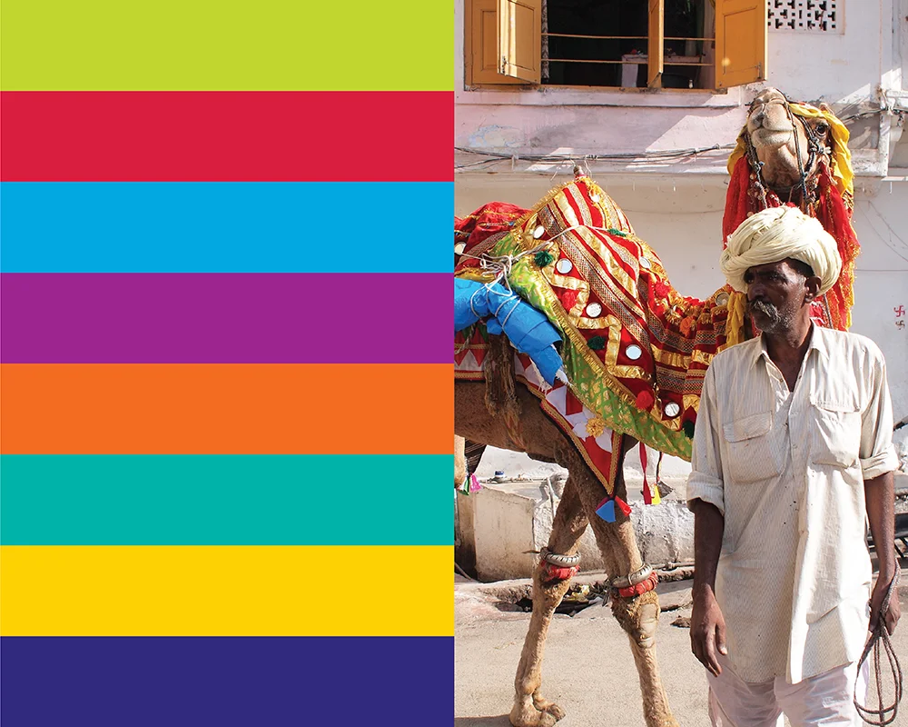 Color-Palette2.jpg