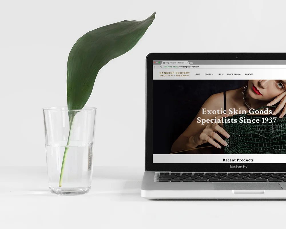 Website-Mockup2.jpg