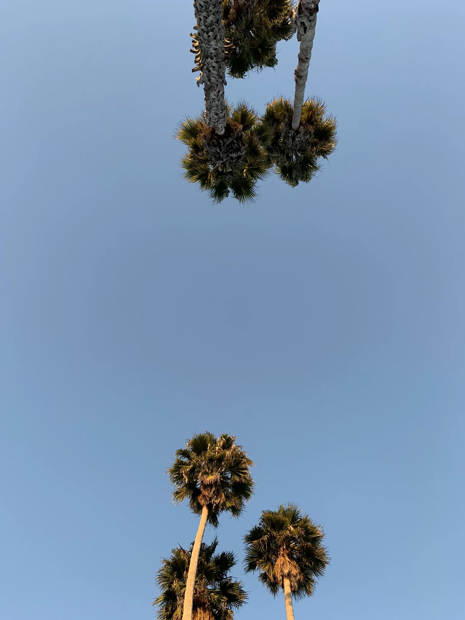 IMG_0339.jpeg