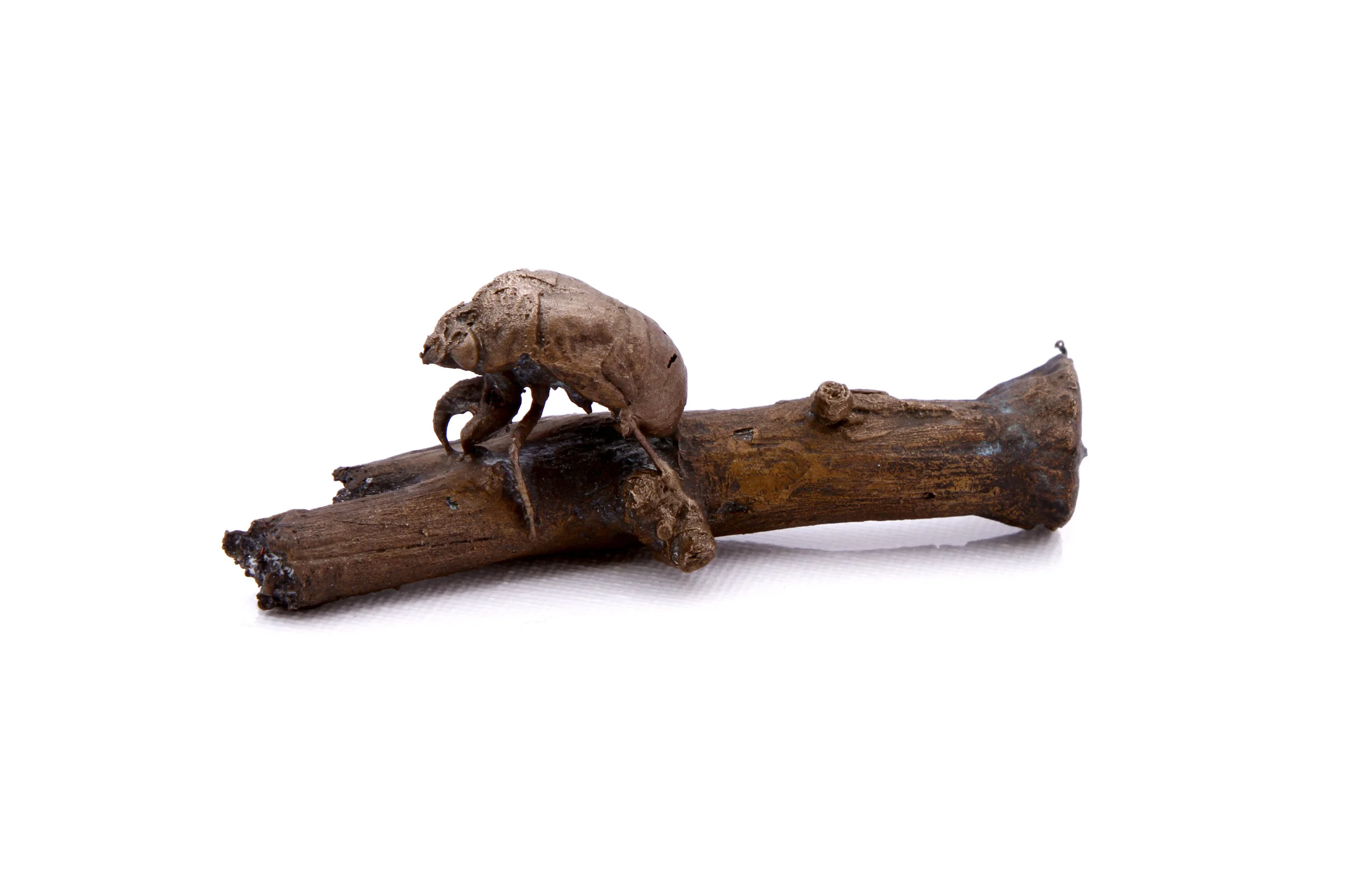 Image7.jpg