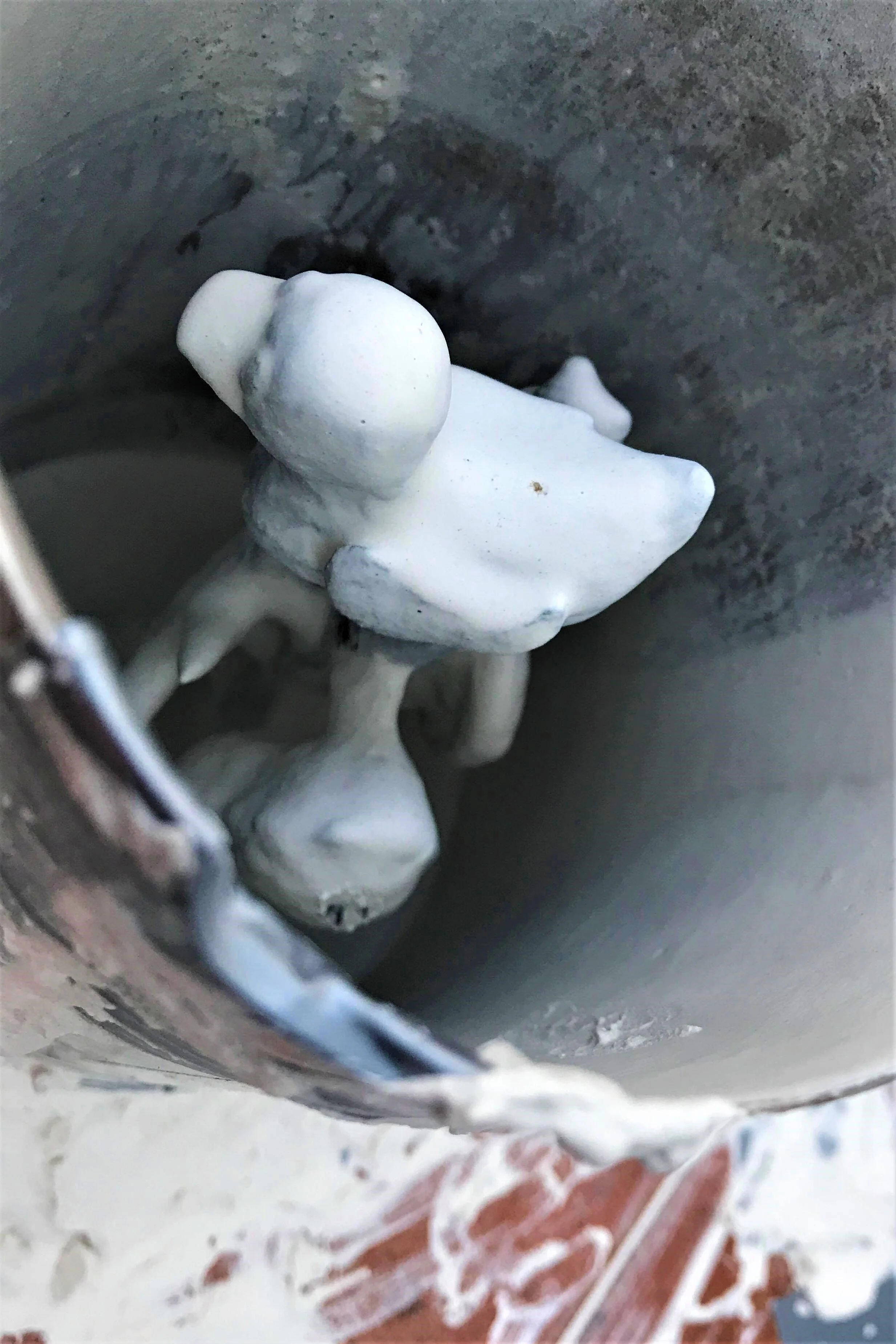 192092451_229497275268209_6439597254571280528_n (2).jpg