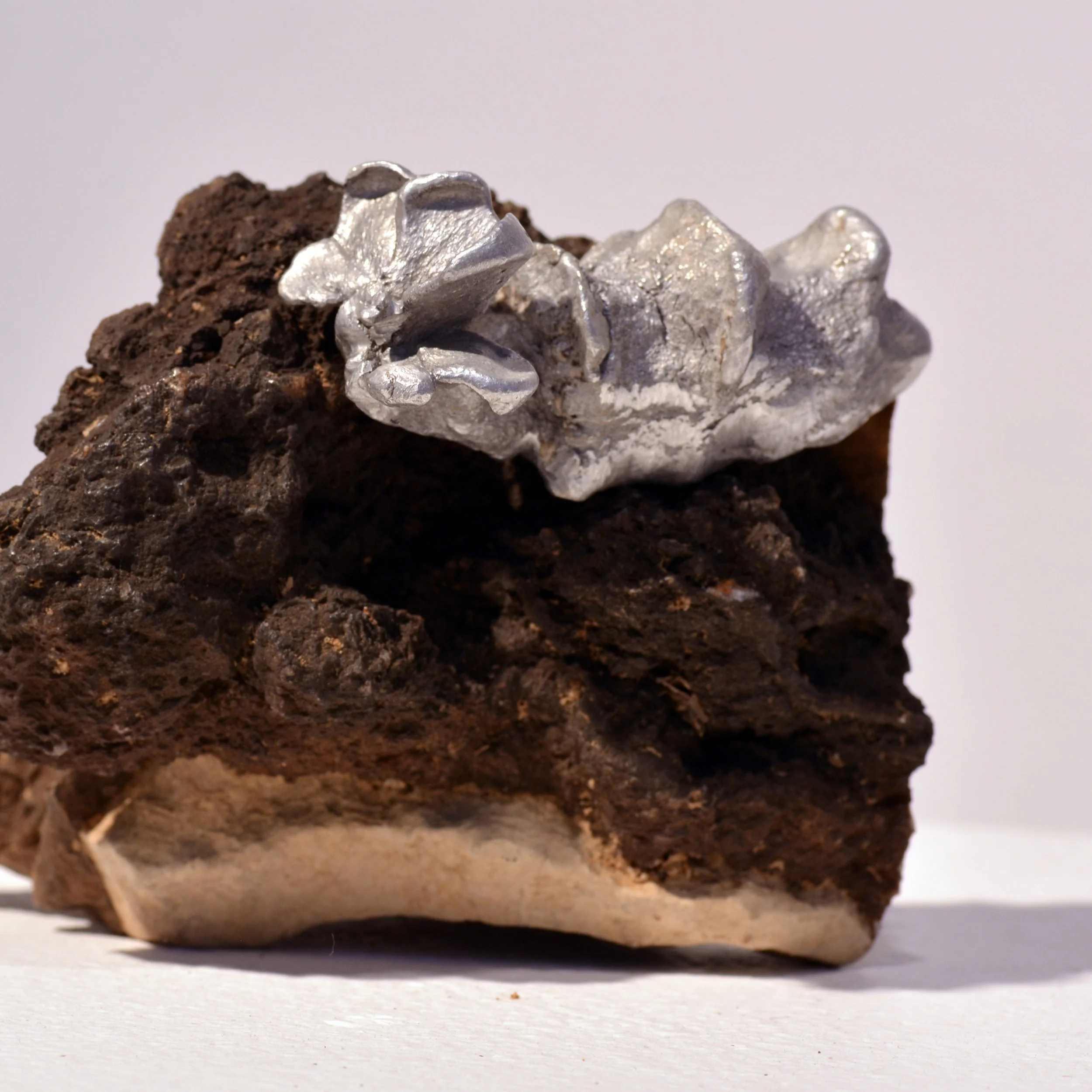 04 Ioanna Thymianidis FUTURE FLORA recycled aluminium.jpg