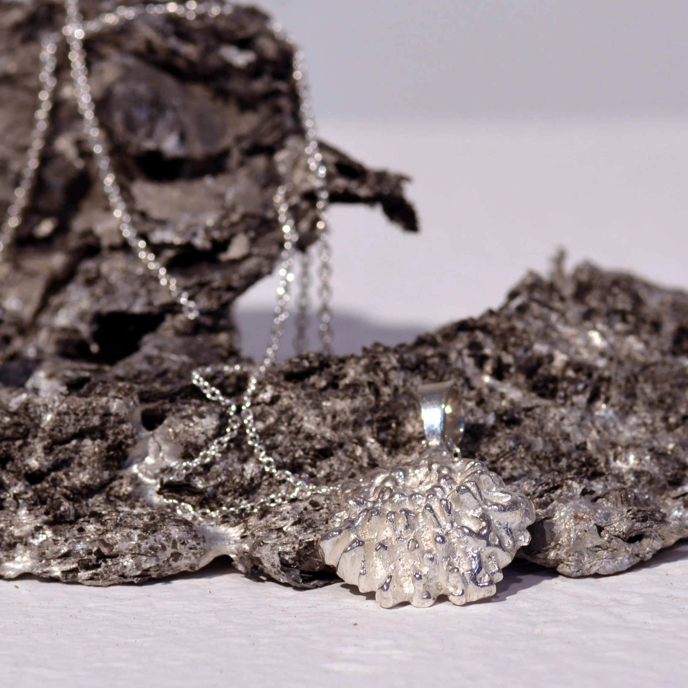 09 Ioanna Thymianidis CASUARINA SPORE sterling silver.jpg