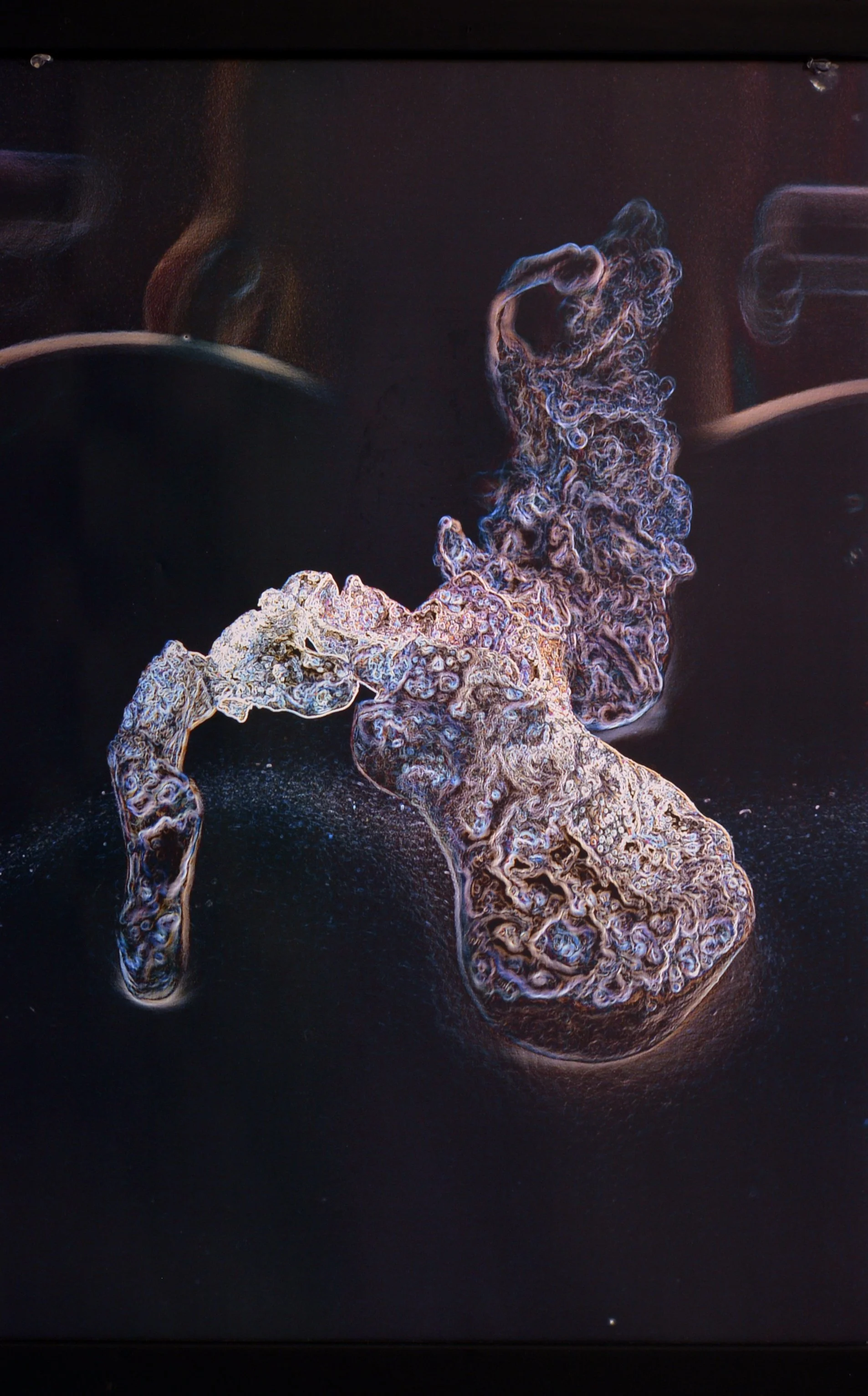 12 Ioanna Thymianidis untitled 1 print on transparency.jpg