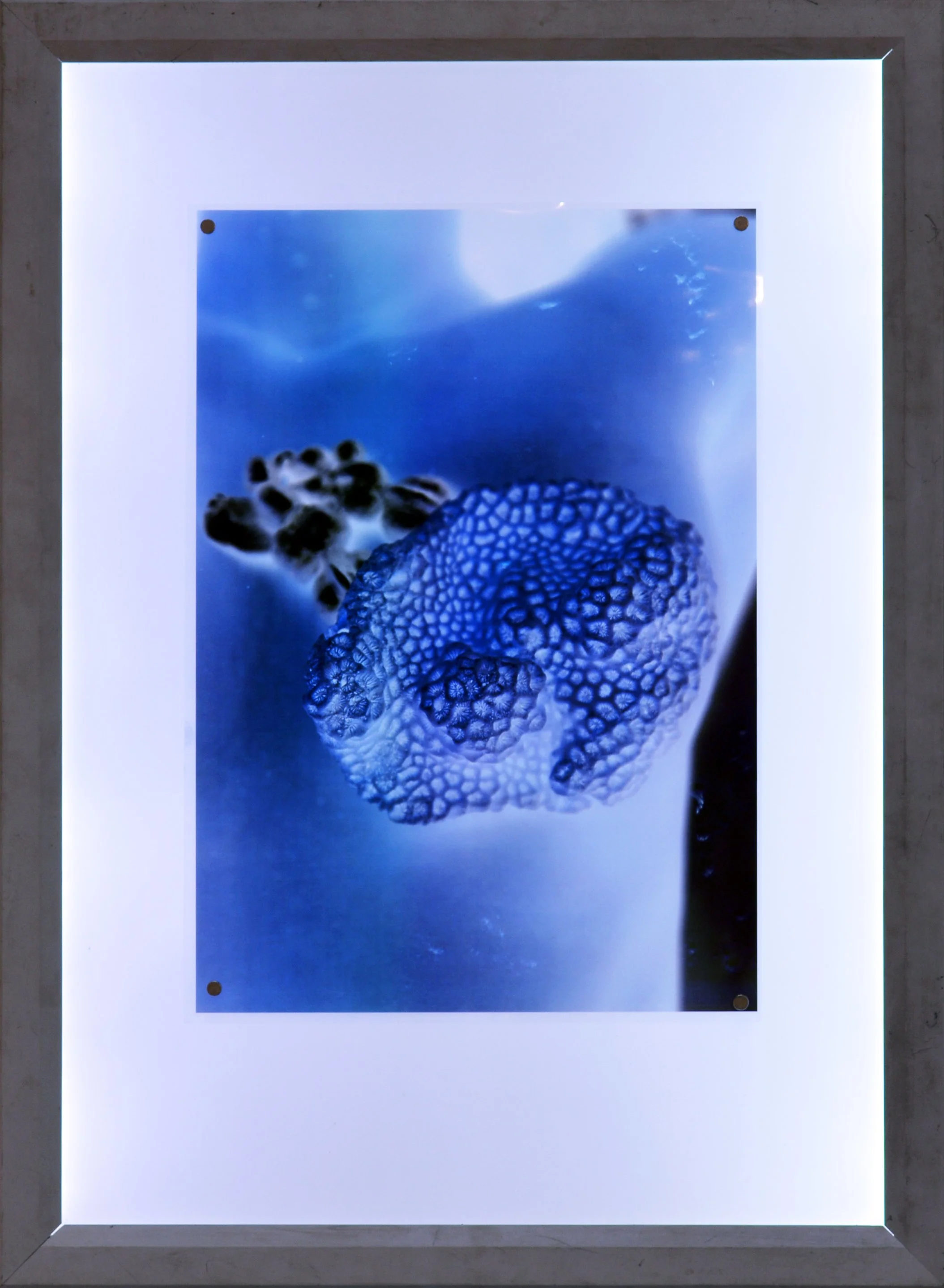 18 Ioanna Thymianidis untitled 7 print on transparency.jpg