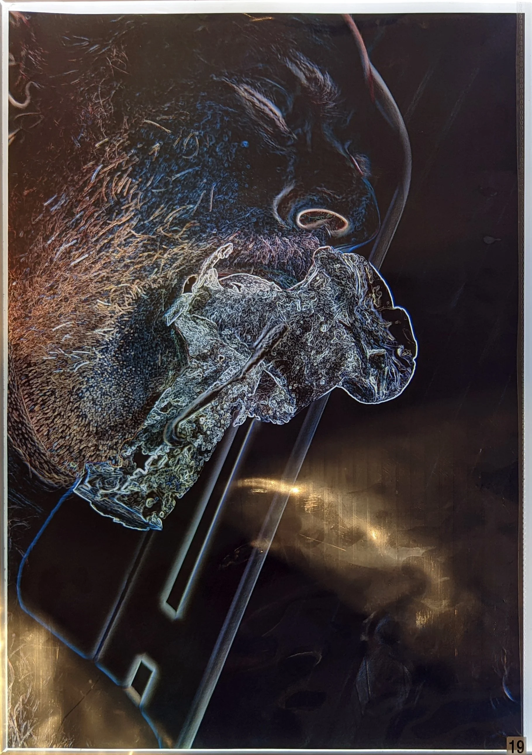 19 Ioanna Thymianidis untitled 8 print on transparency.jpg