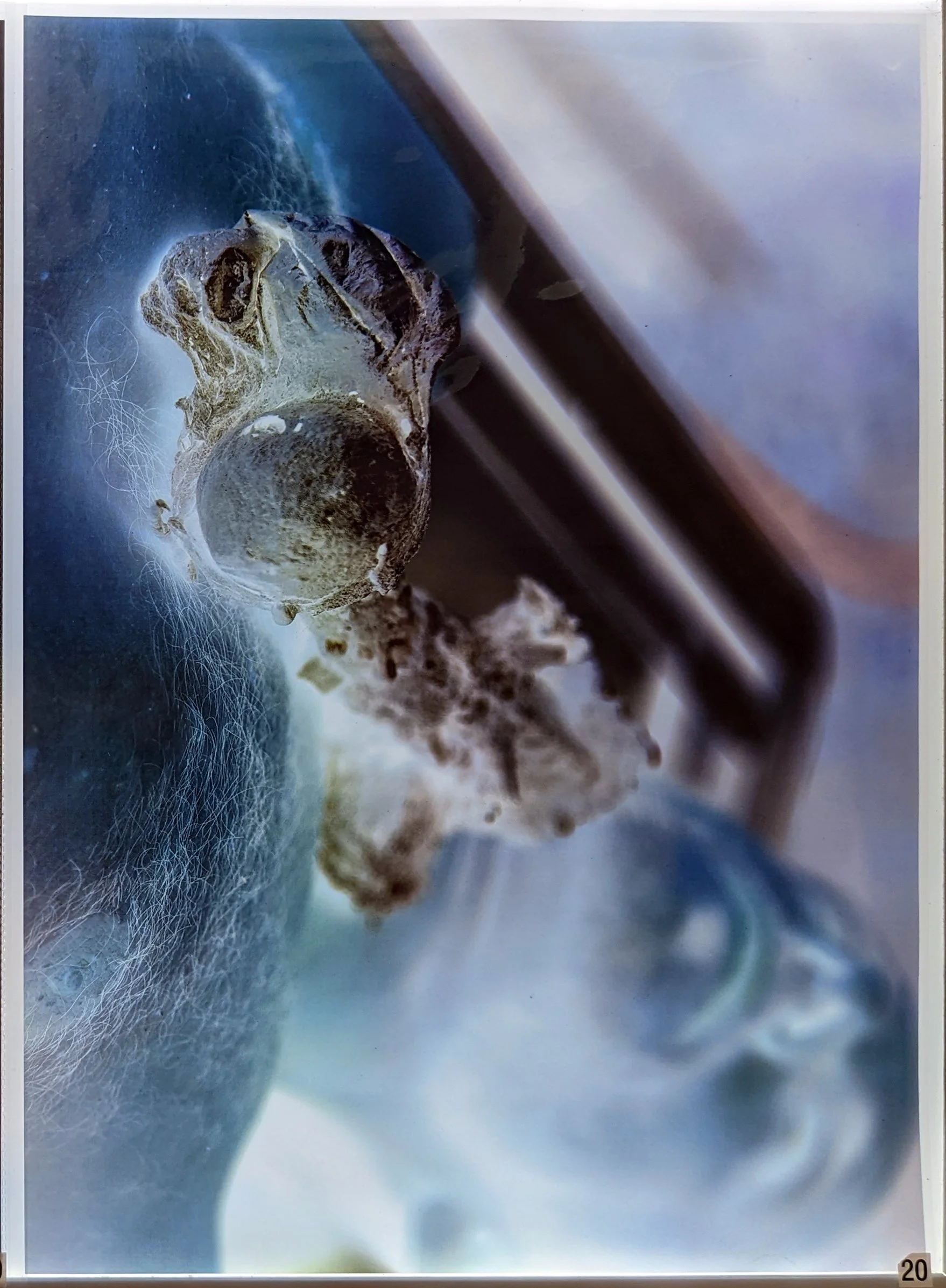 20 Ioanna Thymianidis untitled 9 print on transparency.jpg