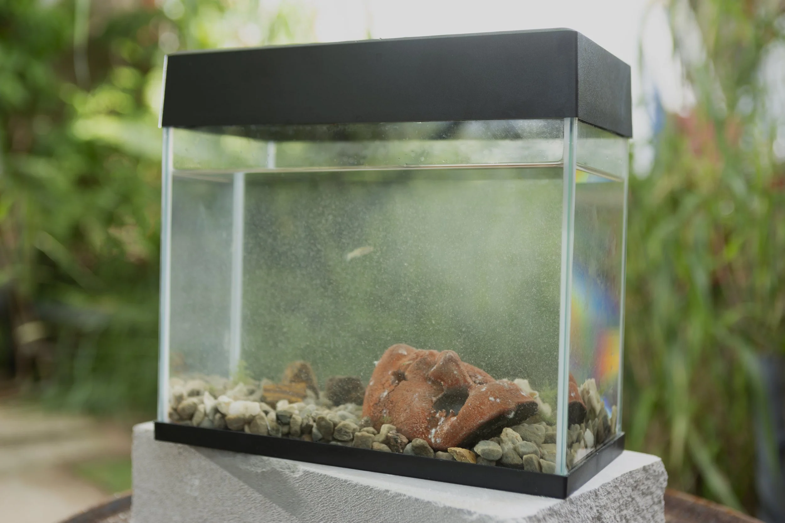 24 Ioanna Thymianidis FUTURE RELIC (1).jpg