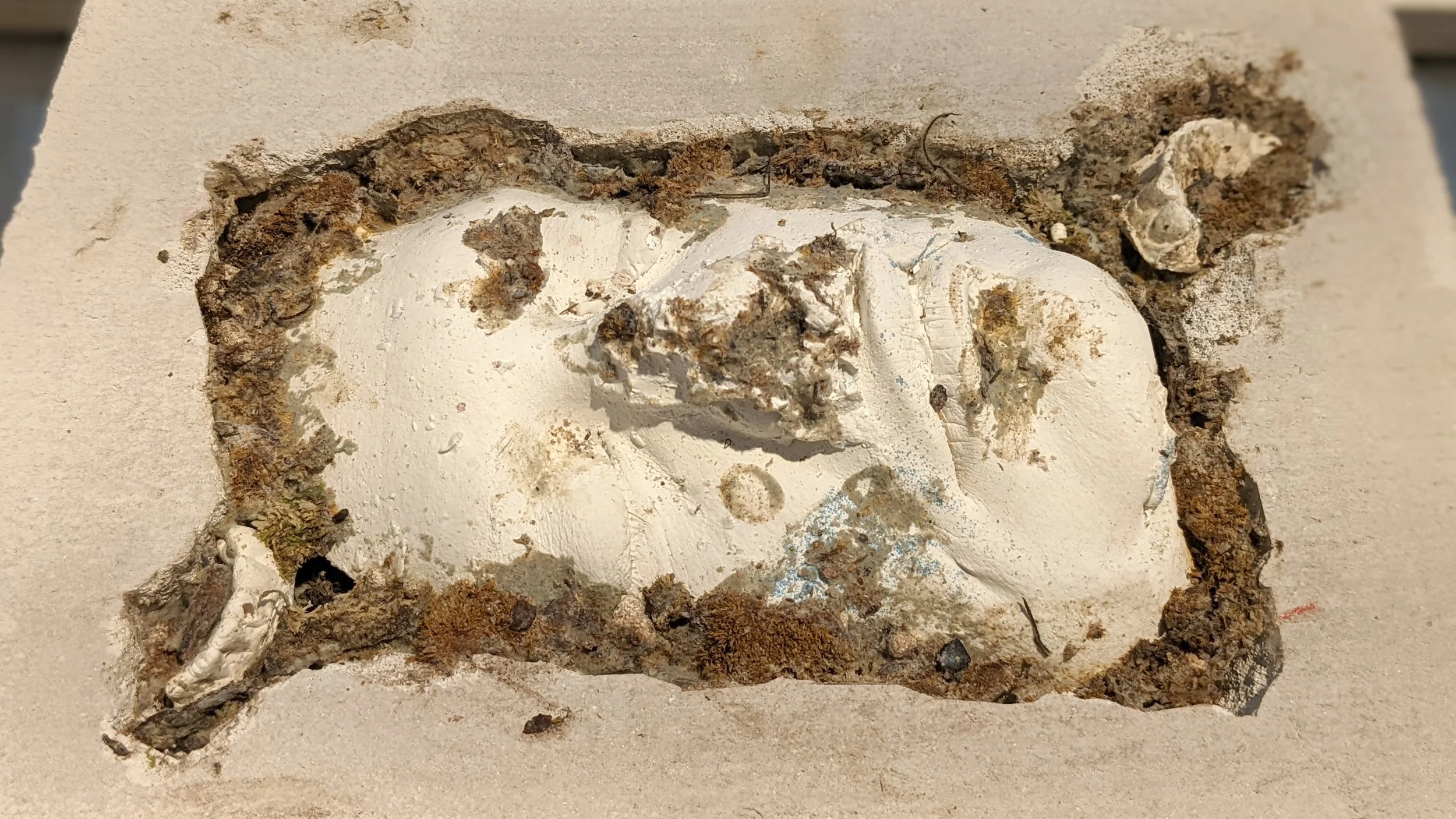 33 Ioanna Thymianidis SUNKEN hebel, plaster, soil, greek yoghurt, moss.jpg