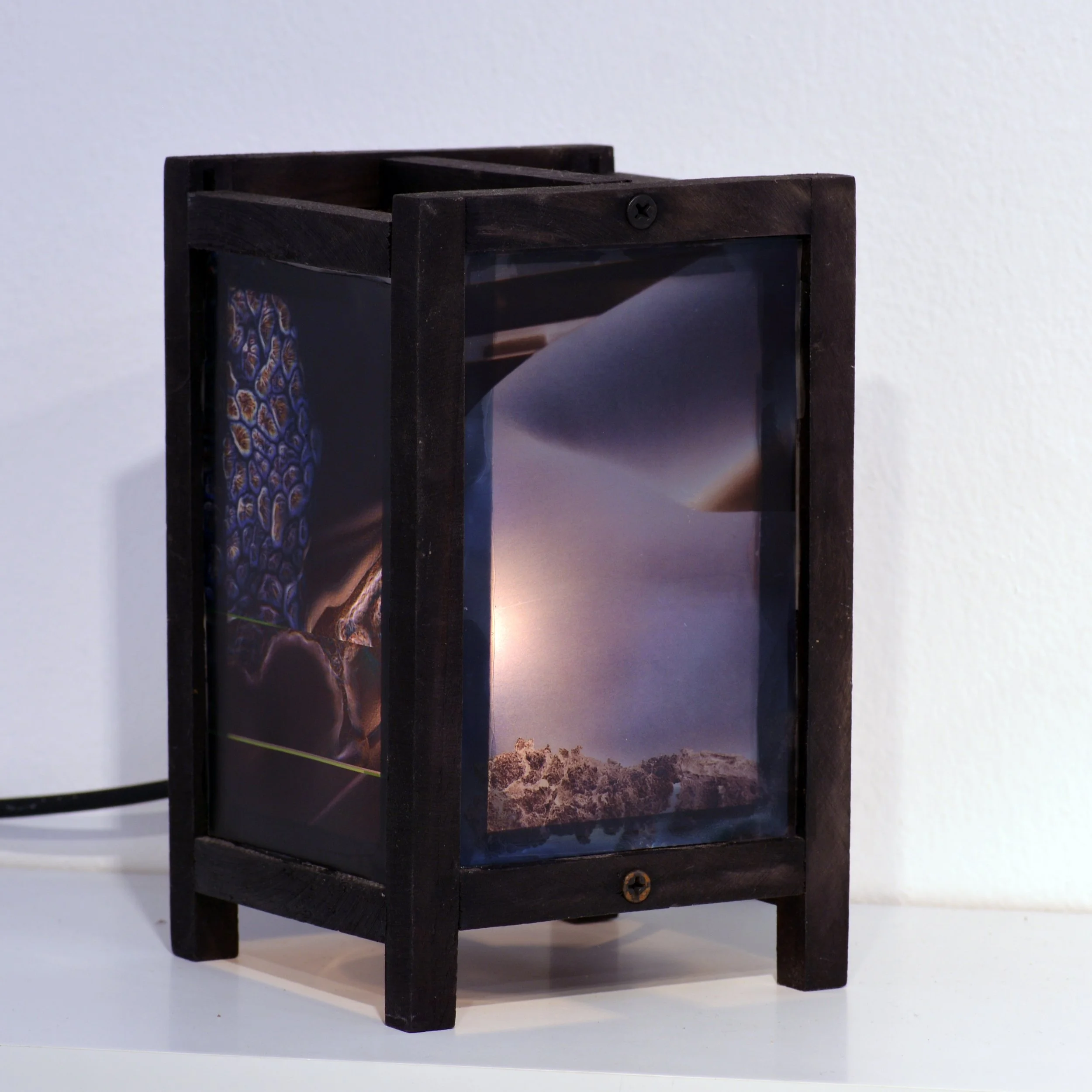 41 Ioanna Thymianidis STUDY found lamp, transparencies.jpg