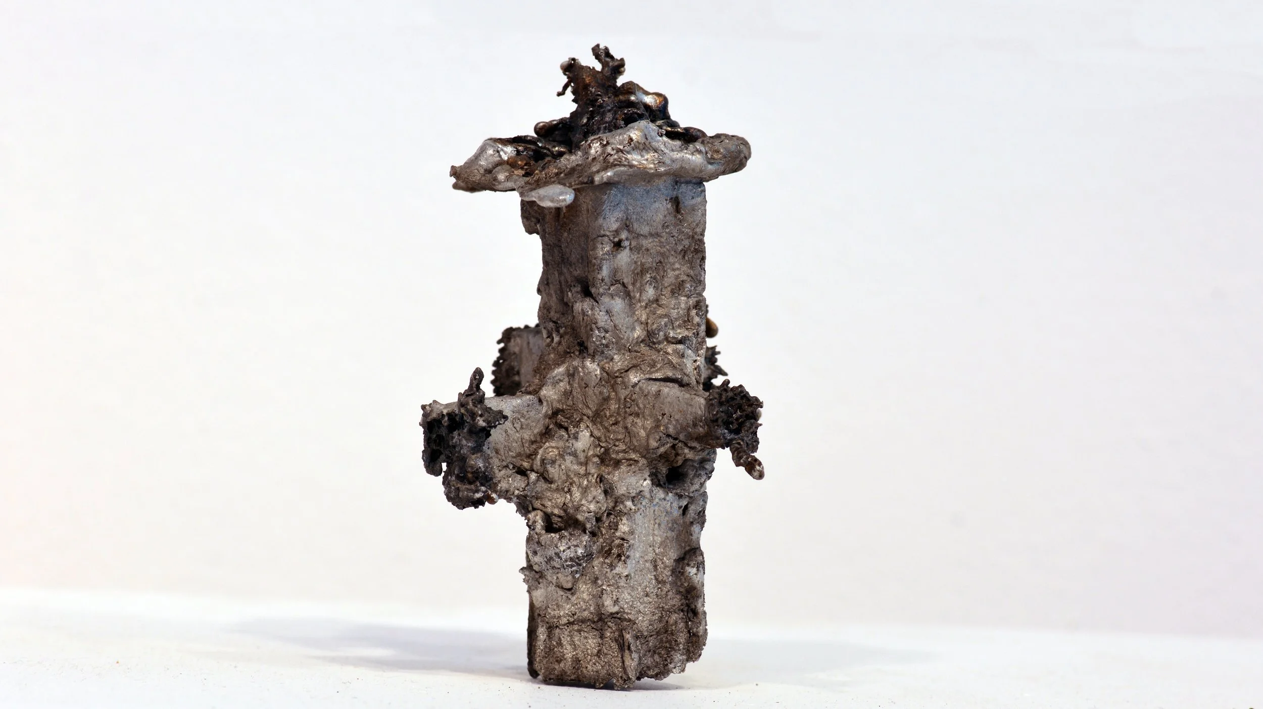 46 part 1 Ioanna Thymianidis BANKSIA SAYS NO recycled aluminium,investment mould, banksia.jpg
