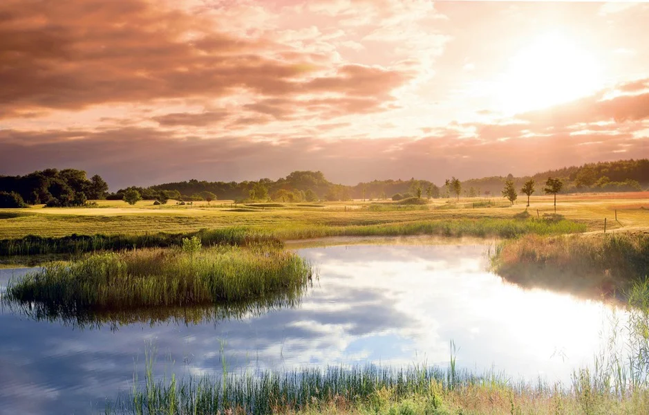 golfclub-ruegen-ev_076731_full.jpg