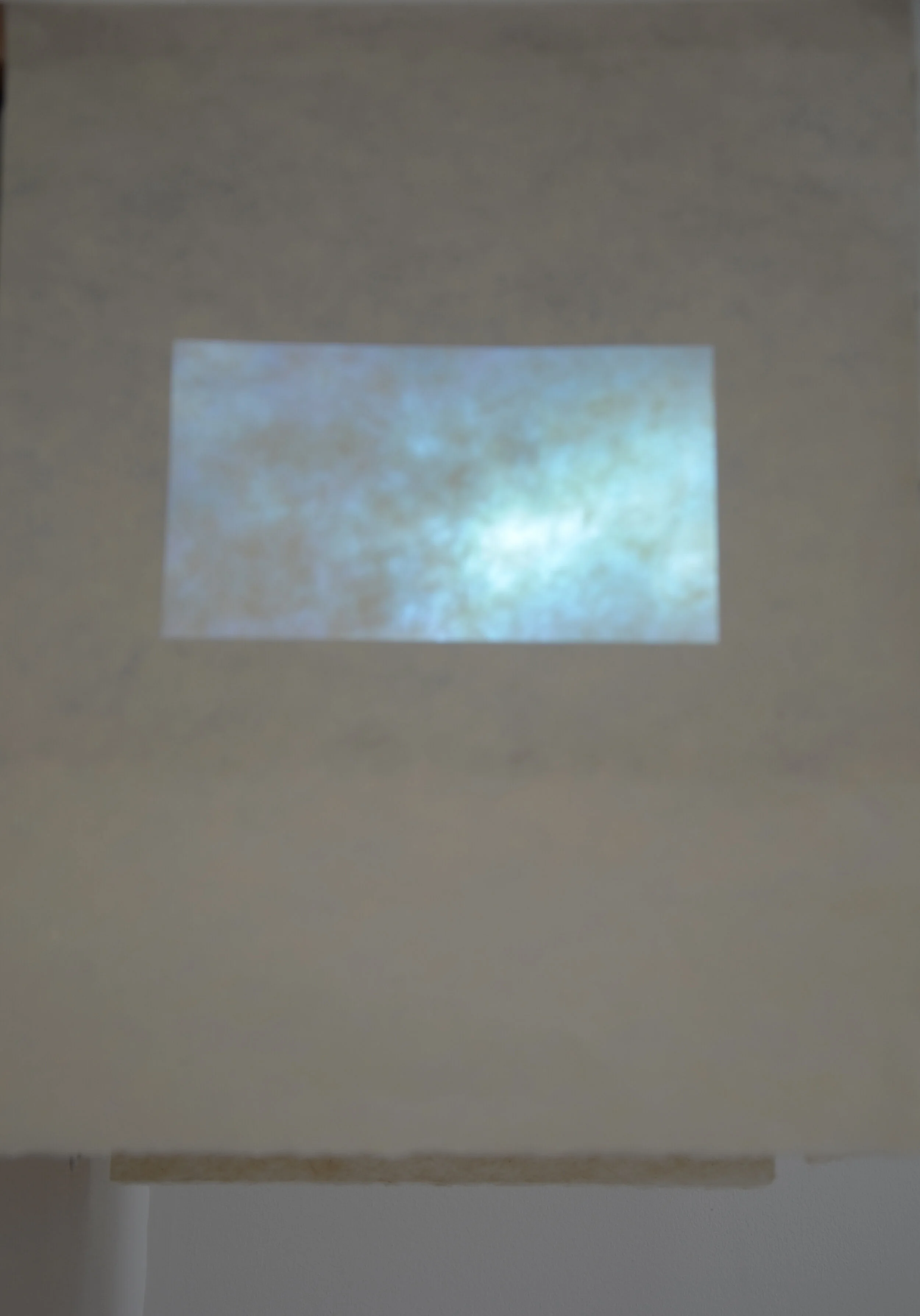 DSC_7716.JPG