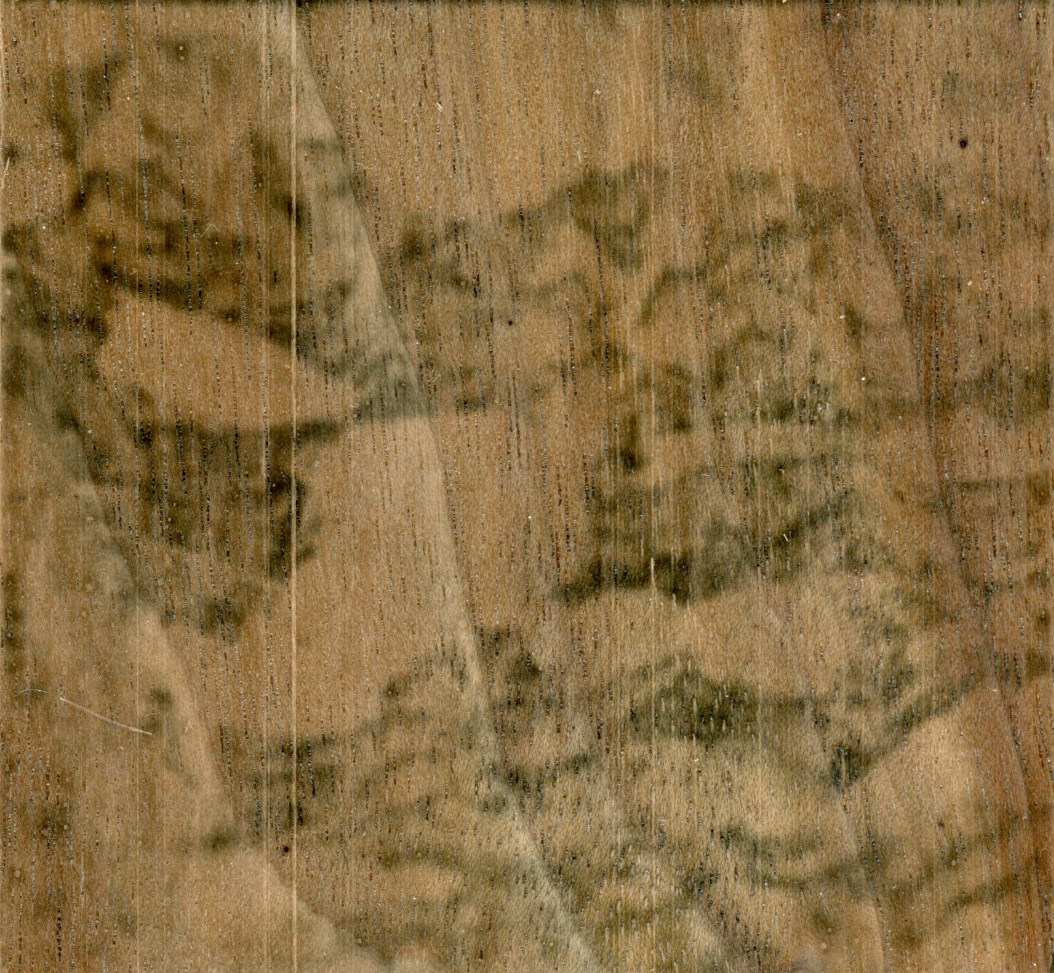wood print015.jpg