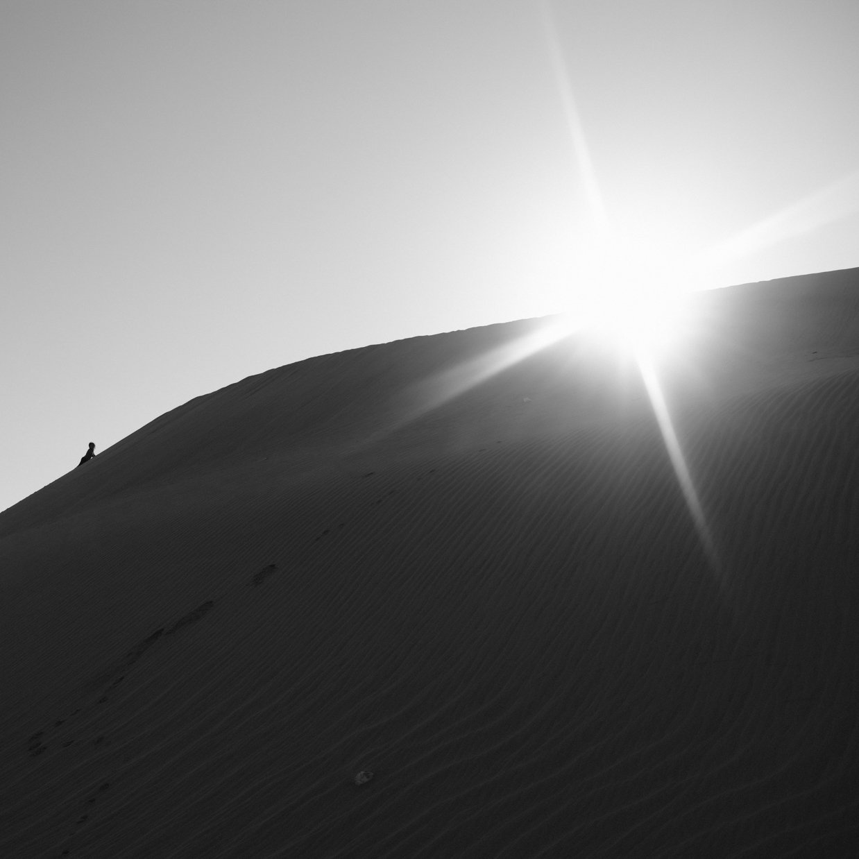 Talia Jan 11th Desert with daddy-24.jpg