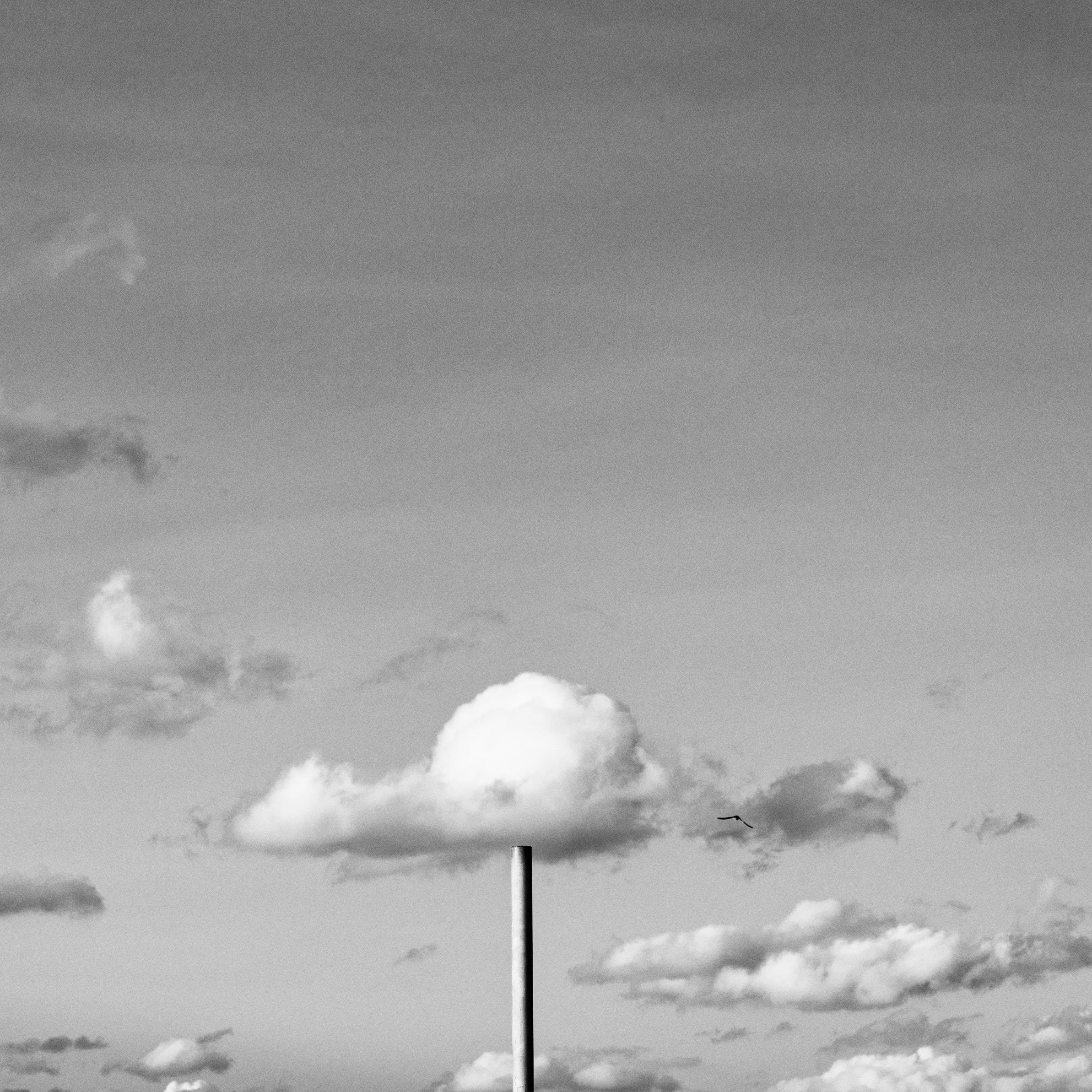 L1000096-Edit.jpg