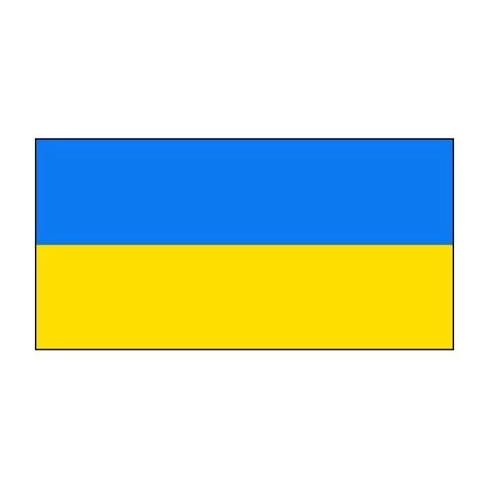 Ukraine visa support