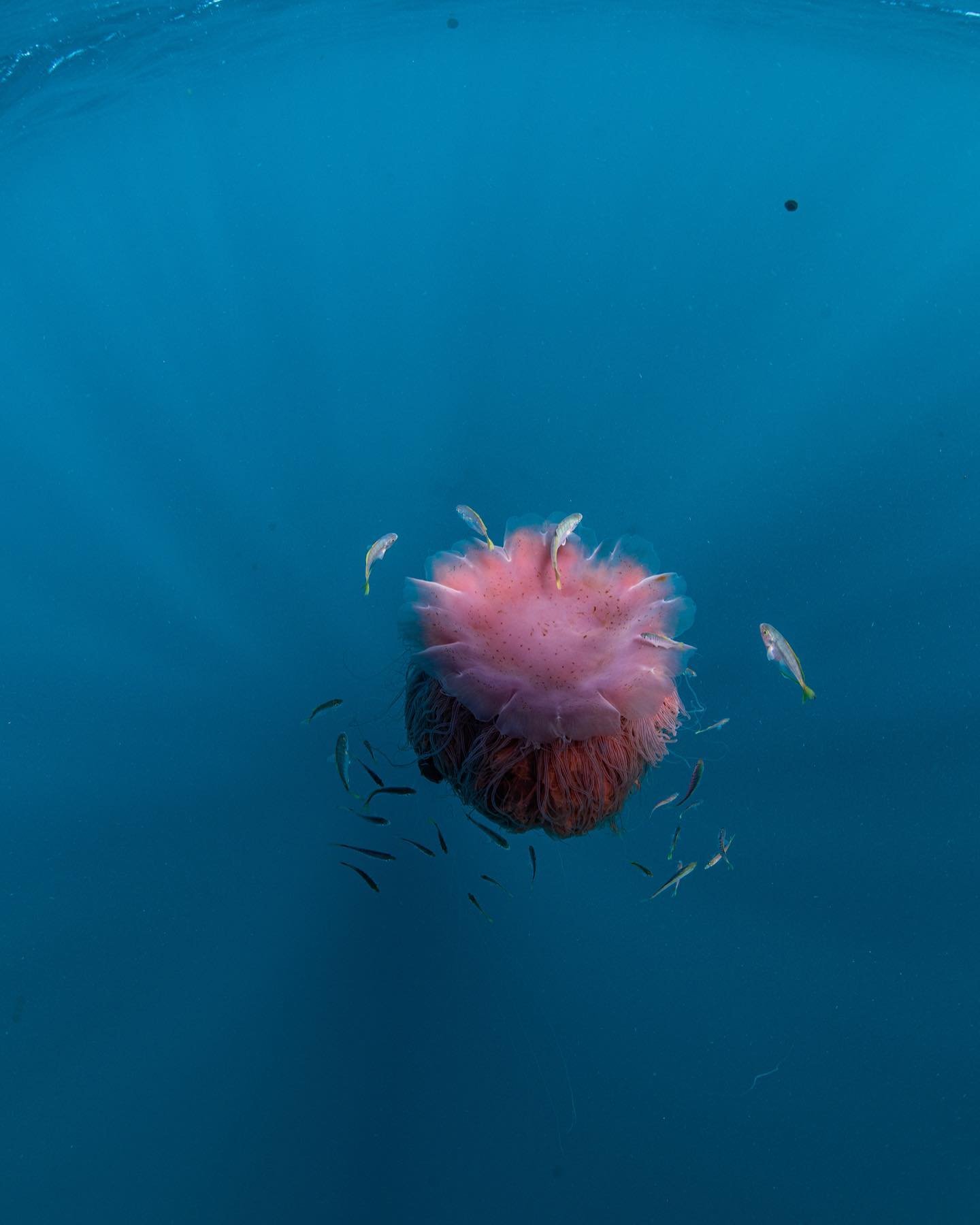 Ocean.jpg