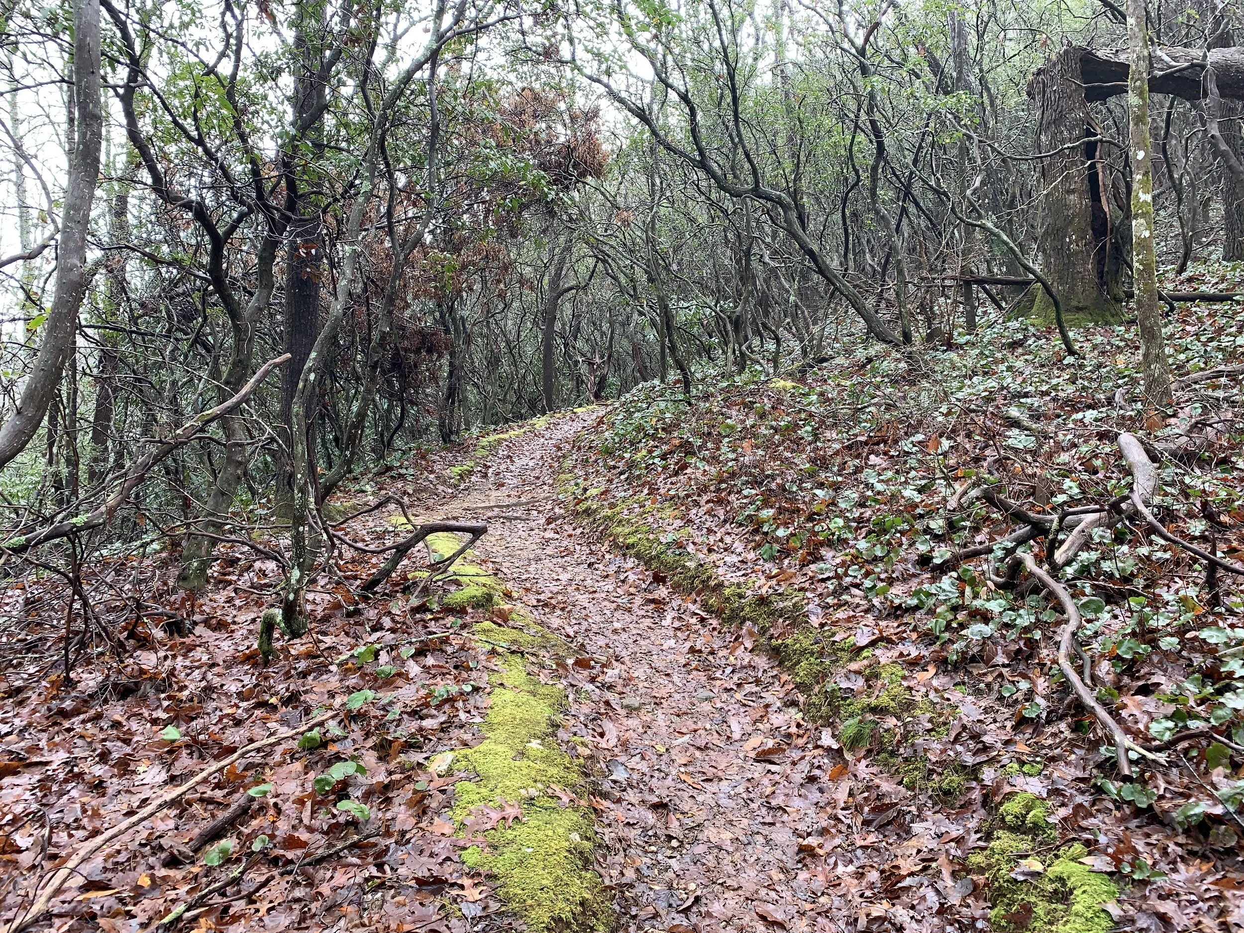 Winter Backpacking Training