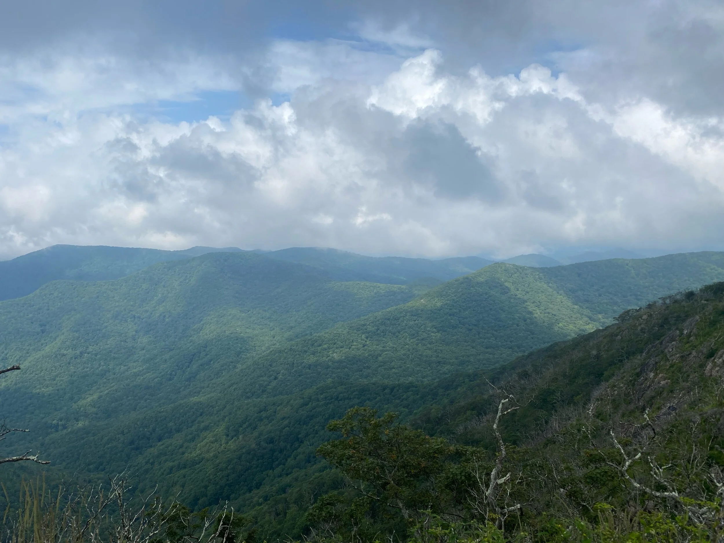 Standing Indian Loop - Lower Ridge, AT, Kimsey Creek